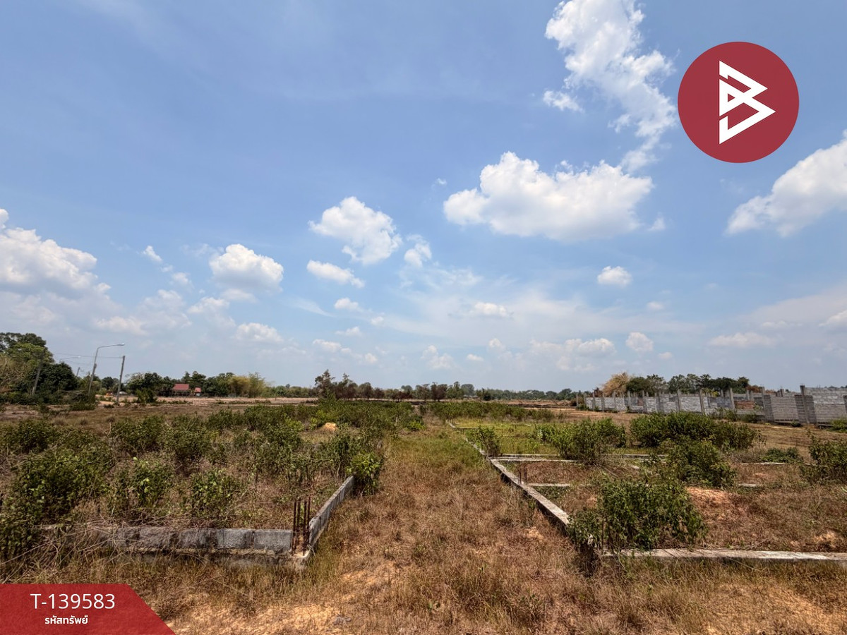 ขายที่ดิน เนื้อที่ 24 ไร่ 3 งาน 60.7 ตร.วา ศรีมหาโพธิ ปราจีนบุรี – รูปที่ 4