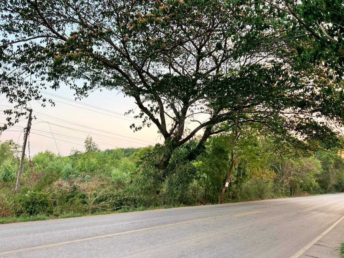Large plot of land for sale Near Udon Thani city, 33 rai 3 ngan – รูปที่ 3