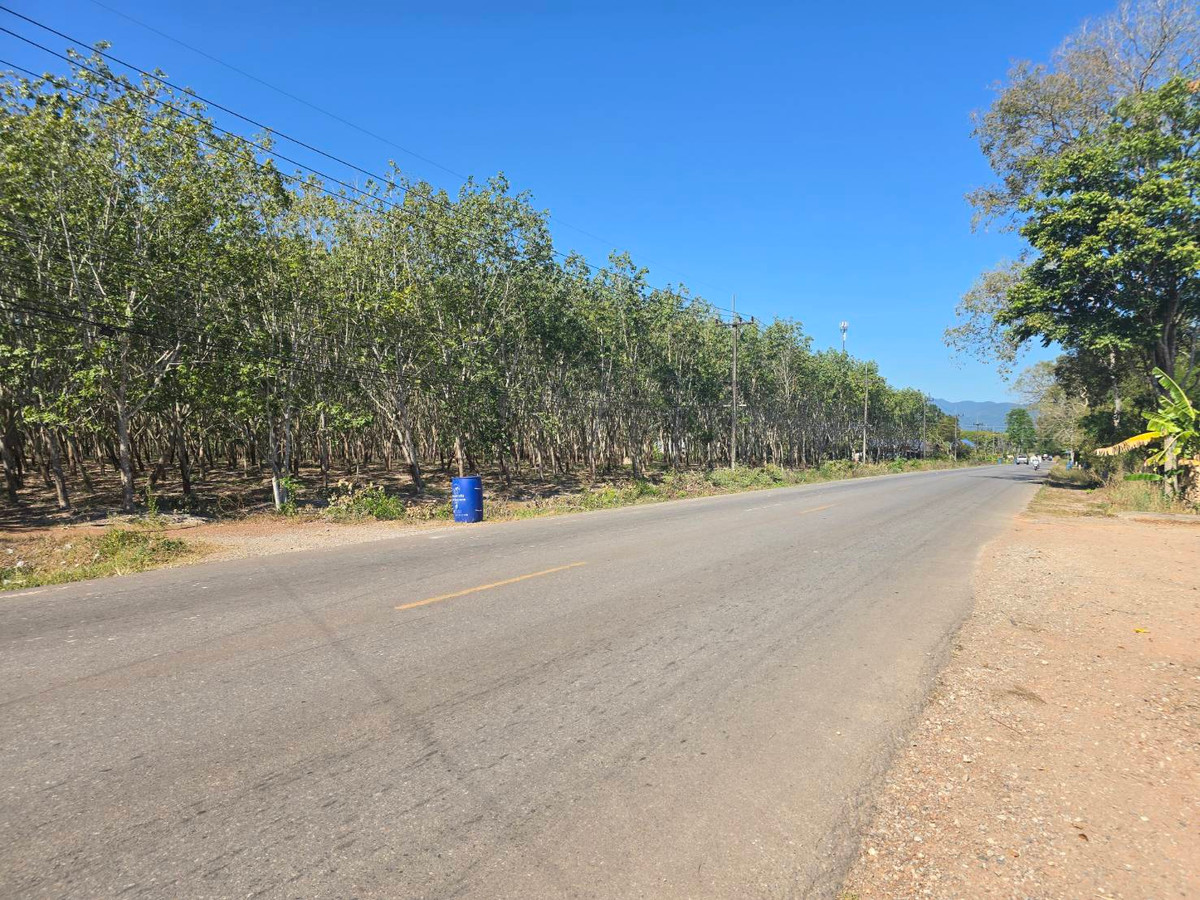 Large rubber plantation for sale Thung Khwai Kin Subdistrict, Klaeng District, Rayong Province, area 80 rai 221 sq m., next to a paved road, near Sukhumvit 3 km. Large rubber plantation for sale Thung Khwai Kin Subdistrict, Klaeng District, Rayong Province, area 80 rai 221 sq m., next to a paved road, near Sukhumvit 3 km.