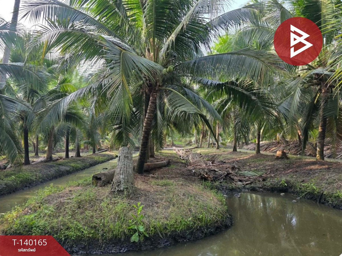 Land for sale, area 4 rai 32.2 Bang Khonthi, Samut Songkhram – รูปที่ 4