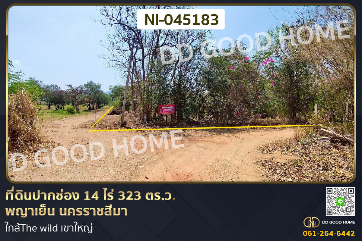 Land for sale in Pak Chong, Phaya Yen, Nakhon Ratchasima. 14 rai 323 sq.wa. NI-045183 Land for sale in Pak Chong, Phaya Yen, Nakhon Ratchasima. 14 rai 323 sq.wa. NI-045183