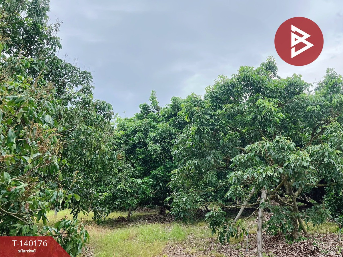 Land for sale, area 30 rai 1 ngan 38 square wah, Soi Dao, Chanthaburi. – รูปที่ 2