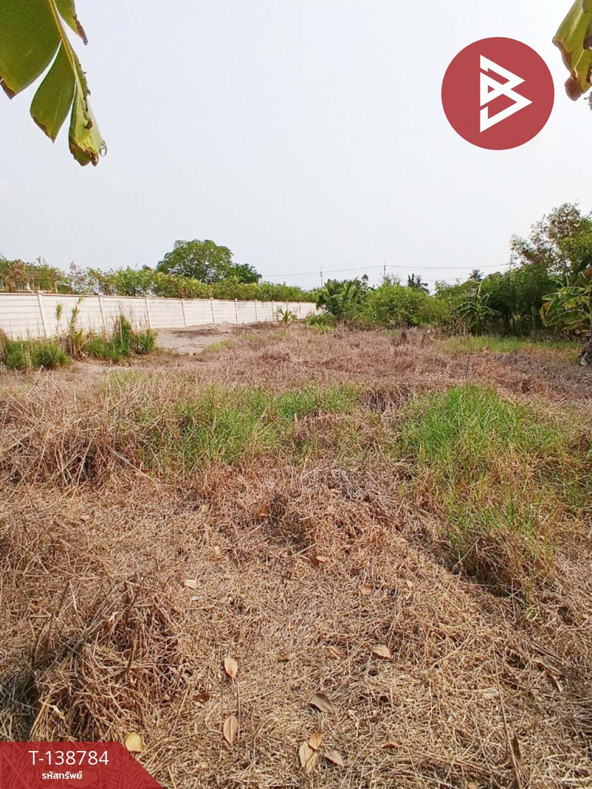 ขายที่ดิน เนื้อที่ 2 งาน 90 ตร.วา พุทธมณฑล นครปฐม – รูปที่ 4