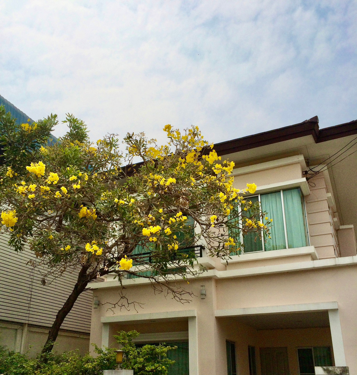 [ขายพร้อมผู้เช่า] 🏡 The Centro Sukhumvit 113 – หลังมุม เป็นส่วนตัว ใกล้รถไฟฟ้า 2 สาย บ้านสวย ทิศเหนือ | แอร์ 4 เครื่อง | ใกล้ BTS สำโรง &amp; MRT ศรีด่าน