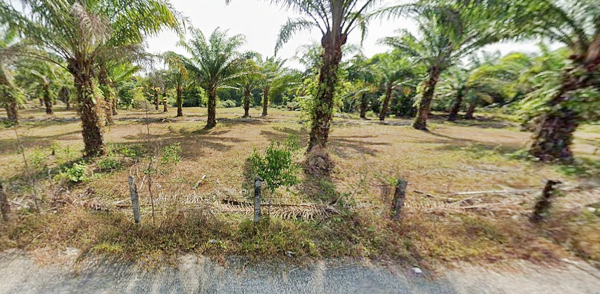 ที่ดินติดหาดบ่อดาน ผืนใหญ่ 603 ไร่ พังงา สำหรับผู้บุกเบิกโครงการใหญ่ – รูปที่ 3