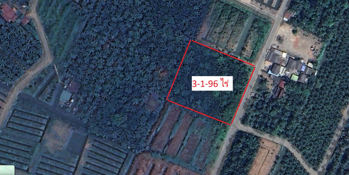 ขายที่ดิน อ.เมืองสมุทรสงคราม เนื้อที่ 3-1-96 ตร.ว. ขายที่ดิน อ.เมืองสมุทรสงคราม เนื้อที่ 3-1-96 ตร.ว.