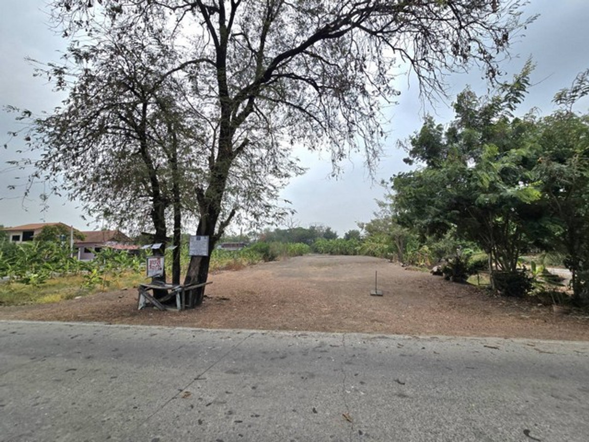 Land for sale in Pathum Thani, Lat Lum Kaeo, already filled, next to the road, near Ratchaphruek-Kanchanaphisek. Land for sale in Pathum Thani, Lat Lum Kaeo, already filled, next to the road, near Ratchaphruek-Kanchanaphisek.