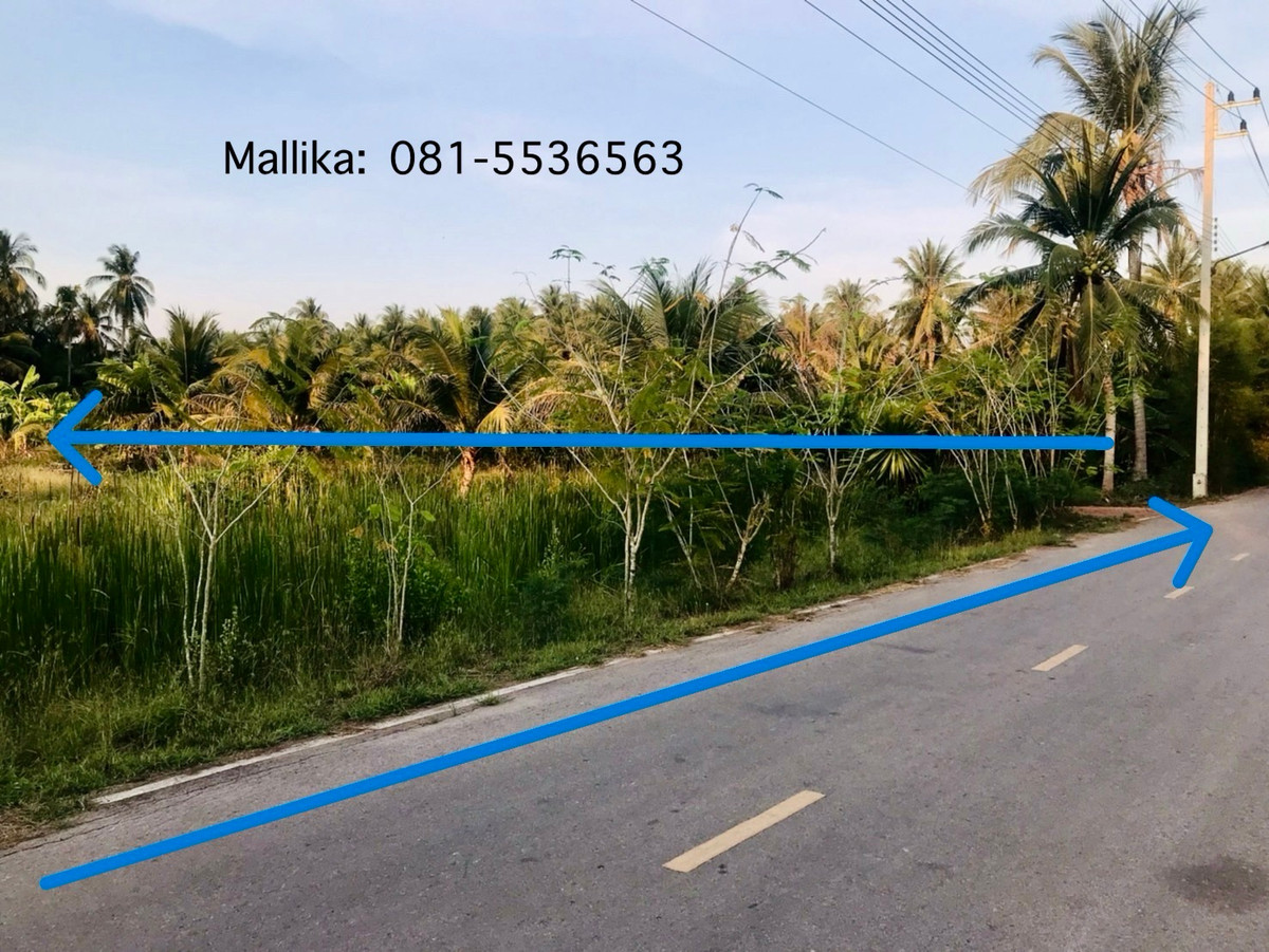 📣 [ขายด่วน] ที่ดินทำเลดี 588.5 ตร.ว. ติดถนนบางแค ซอย 10 อัมพวา – พื้นที่สวย สี่เหลี่ยม ใช้งานง่าย – รูปที่ 3