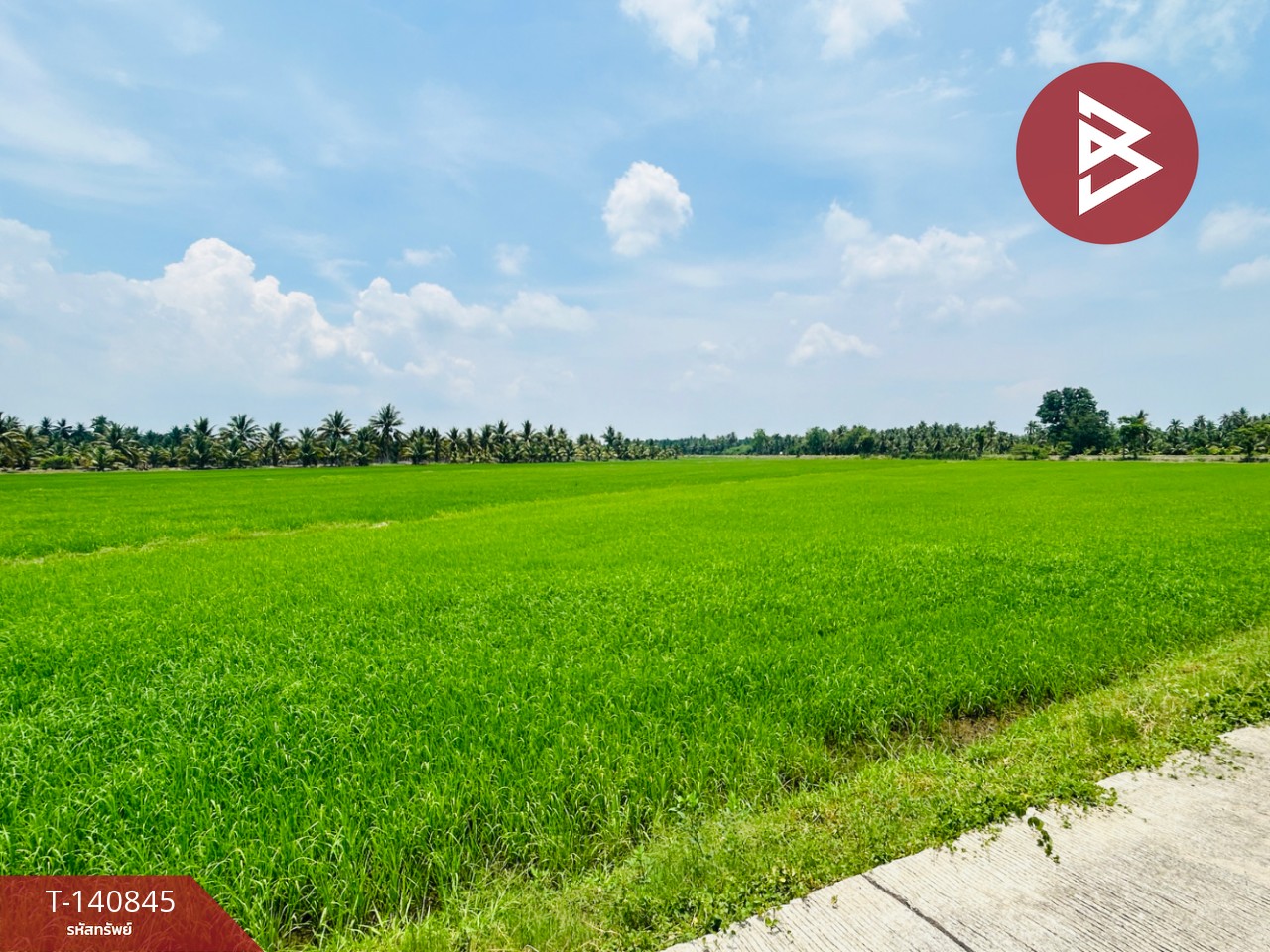 ขายด่วนที่ดิน เนื้อที่ 16 ไร่ 2 งาน 52 ตร.วา วัดเพลง ราชบุรี – รูปที่ 4