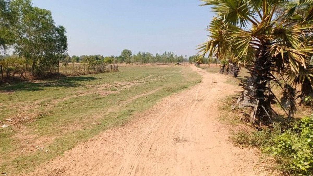 PZ1161: Cheap land for sale, area 22 rai 2 ngan 84 sq m, good location, near public roads. Han Huai Sai Subdistrict, Prathai District, Nakhon Ratchasima Province PZ1161: Cheap land for sale, area 22 rai 2 ngan 84 sq m, good location, near public roads. Han Huai Sai Subdistrict, Prathai District, Nakhon Ratchasima Province