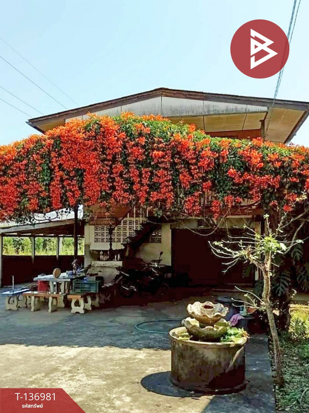 ขายด่วนบ้านเดี่ยวพร้อมที่ดิน เนื้อที่ 183 ตารางวา อ.แม่พริก ลำปาง – รูปที่ 2