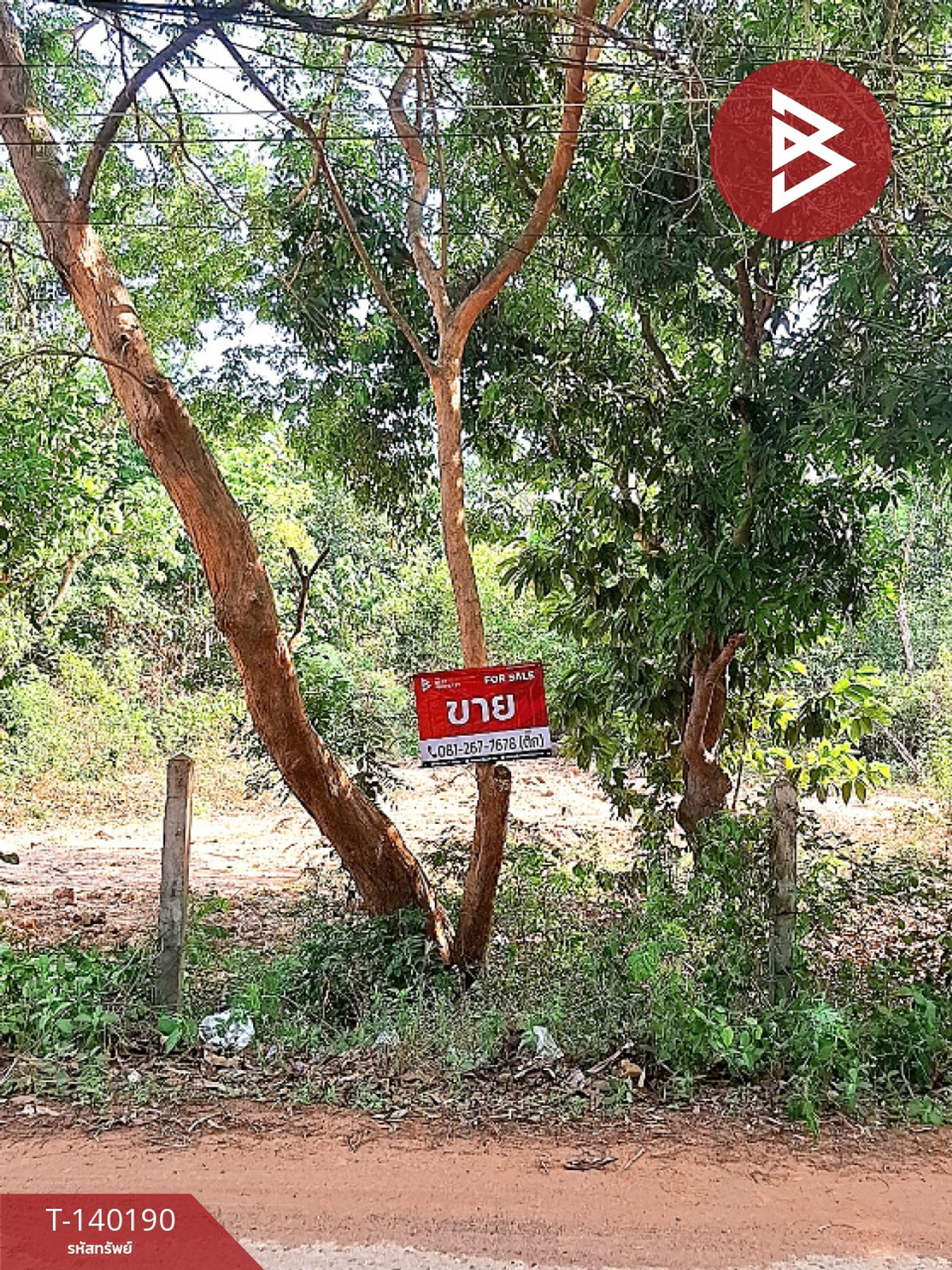 Land for sale, area 6 rai 3 ngan 58 sq m, Pa Fa-Yang Yai, Roi Et, location next to the road. Land for sale, area 6 rai 3 ngan 58 sq m, Pa Fa-Yang Yai, Roi Et, location next to the road.