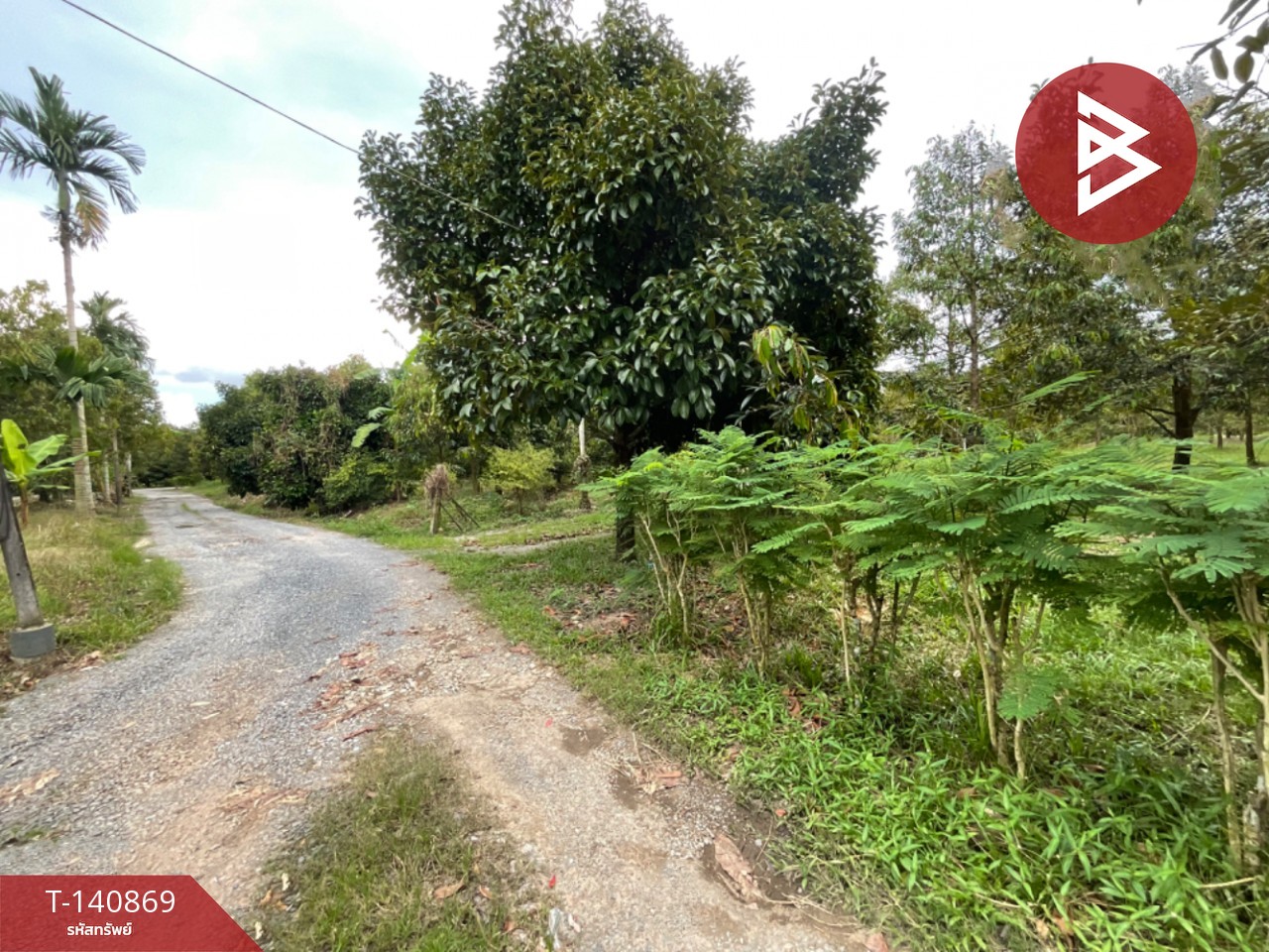 Land for sale, area 3 rai, Makham, Chanthaburi – รูปที่ 3