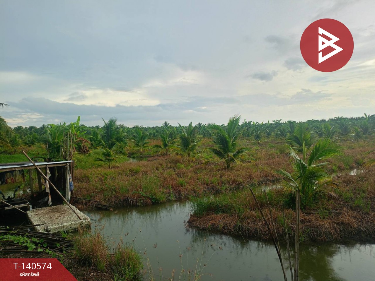 ขายที่ดิน เนื้อที่ 11 ไร่ 1 งาน 48 ตร.วา ปากท่อ ราชบุรี – รูปที่ 3