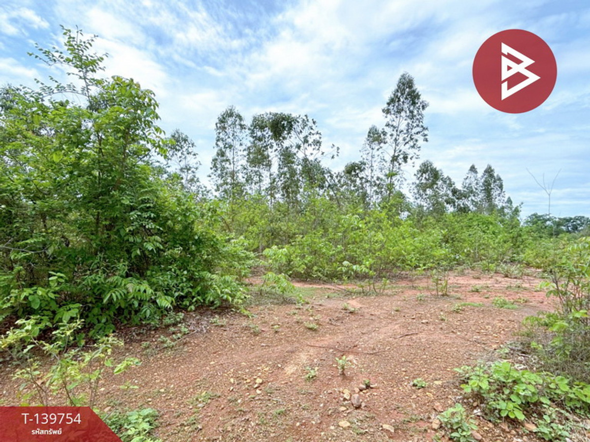 Land for sale, area 14 rai 3 ngan 33.2 square wah, Pak Tho, Ratchaburi. – รูปที่ 4
