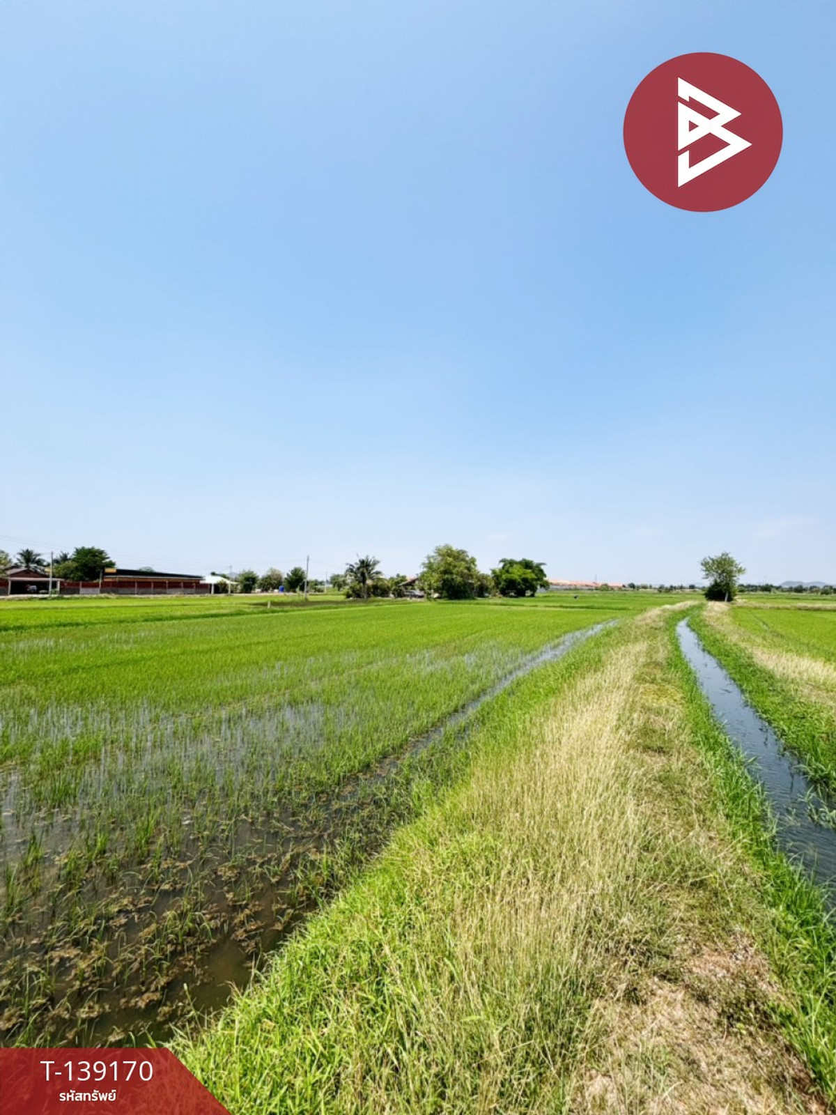 ขายที่ดิน เนื้อที่ 10 ไร่ 69 ตร.วา เจดีย์หัก ราชบุรี – รูปที่ 3