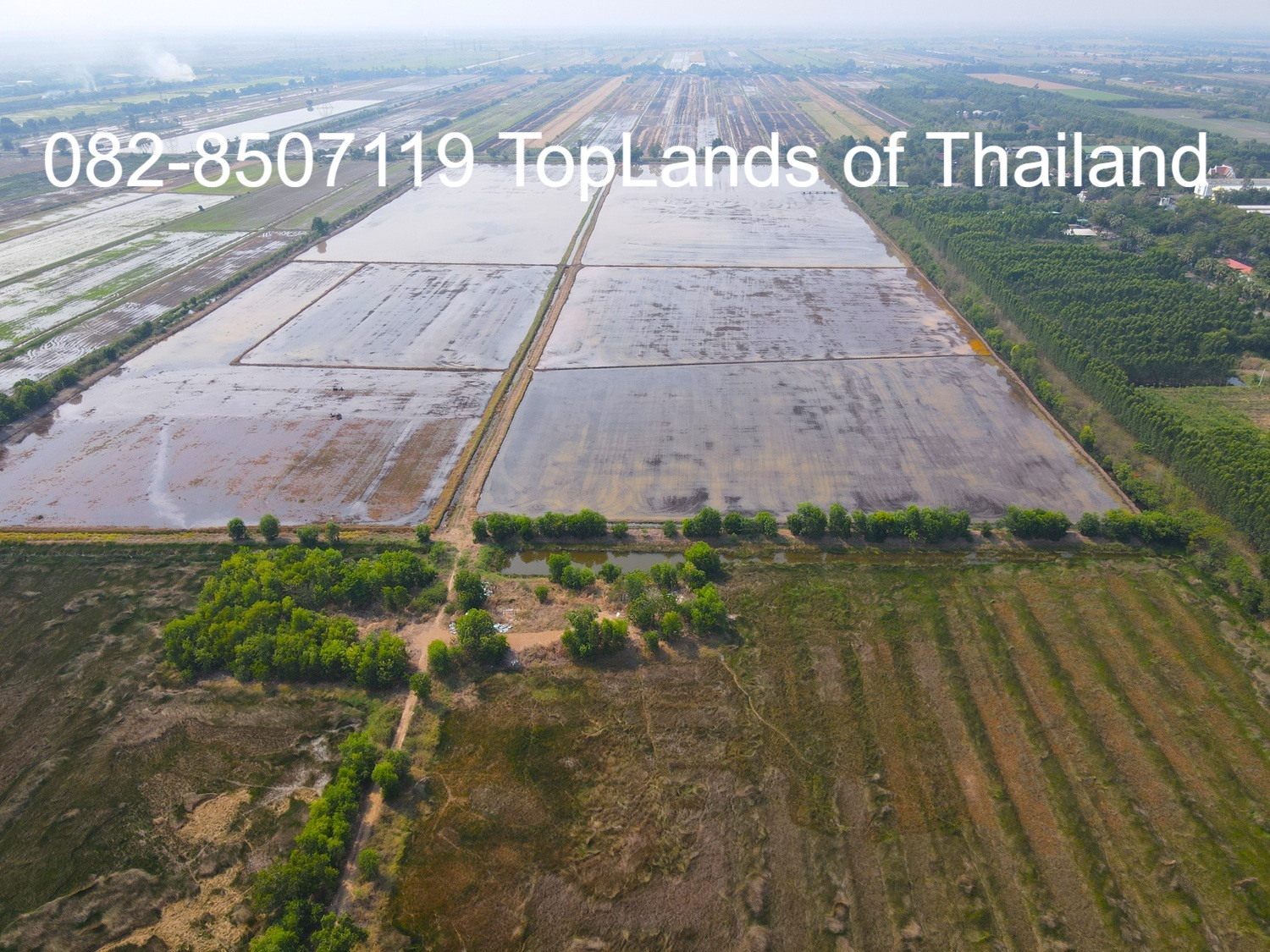 ขาย ที่ดิน วังน้อย จ.พระนครศรีอยุธยา ติดถนนพหลโยธิน เนื้อที่ 142 ไร่ เหมาะสร้าง ศูนย์กระจายสินค้า – รูปที่ 4