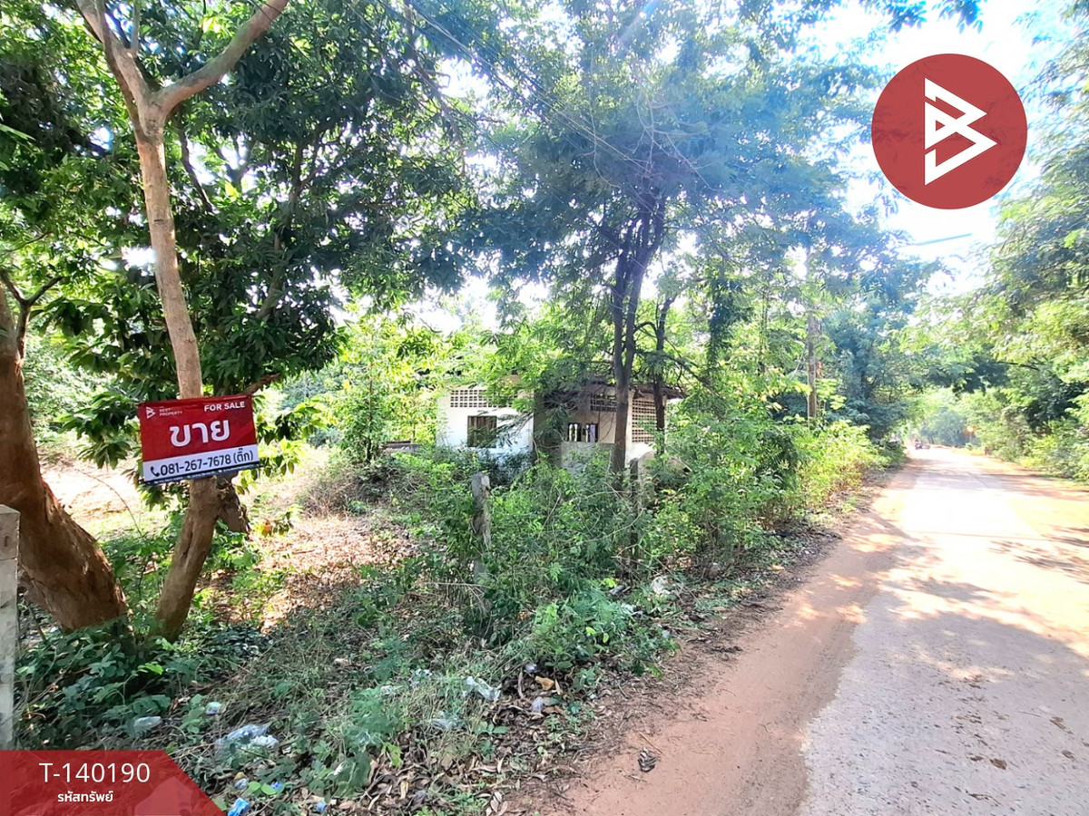 ขายที่ดิน เนื้อที่ 6 ไร่ 3 งาน 58 ตร.วา ปาฝา-ร้อยเอ็ด ทำเลติดถนนใกล้ทางรถไฟ – รูปที่ 2