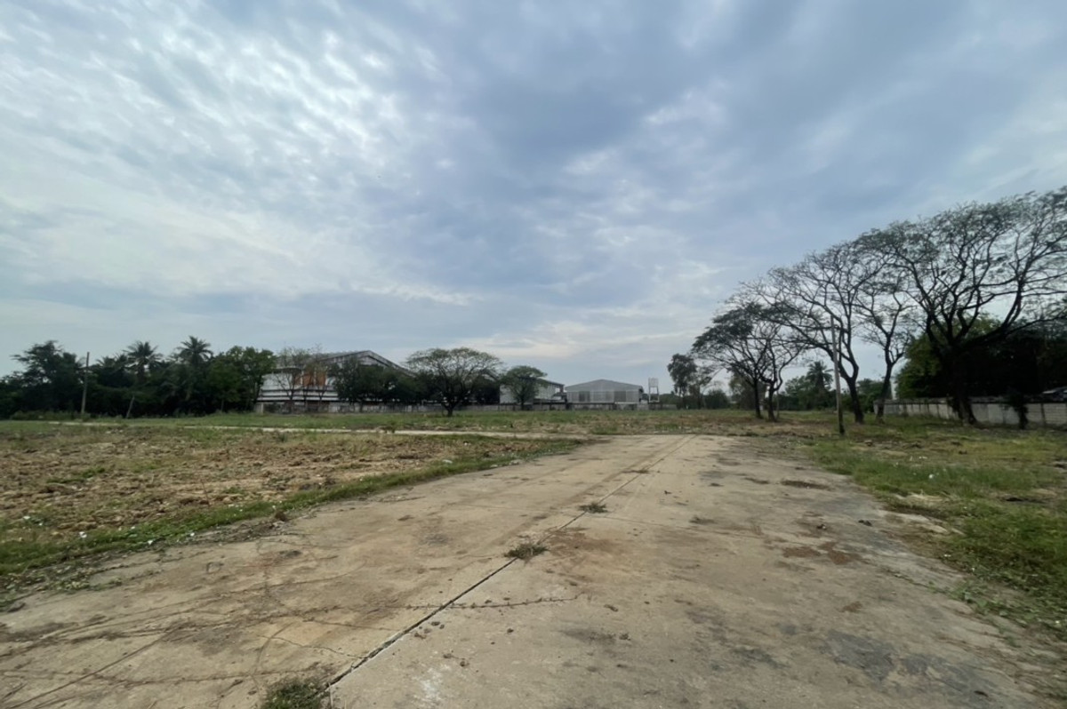 Large plot of land, Sam Phran District, Nakhon Pathom. – รูปที่ 2