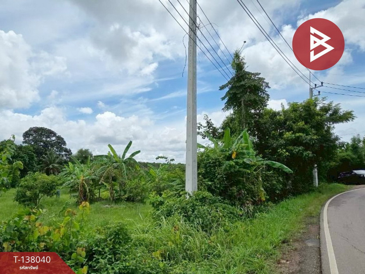 ขายที่ดิน เนื้อที่ 9 ไร่ 44 ตร.วา ท่าใหม่ จันทบุรี – รูปที่ 2