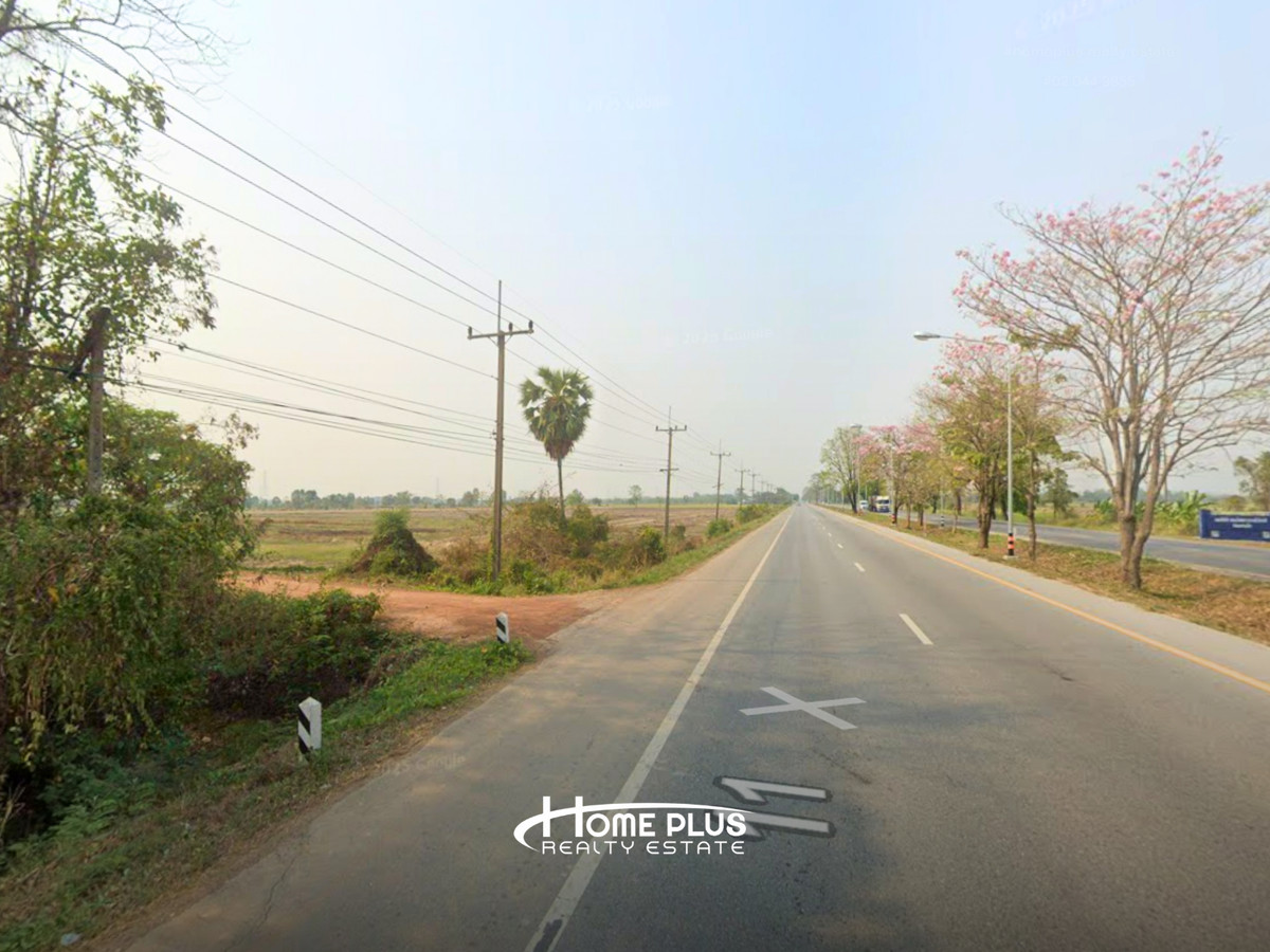 ที่ดินตำบลวัดตายม 23 ไร่ ใกล้ถนนหมายเลข 11 อำเภอบางกระทุ่ม จังหวัดพิษณุโลก – รูปที่ 3