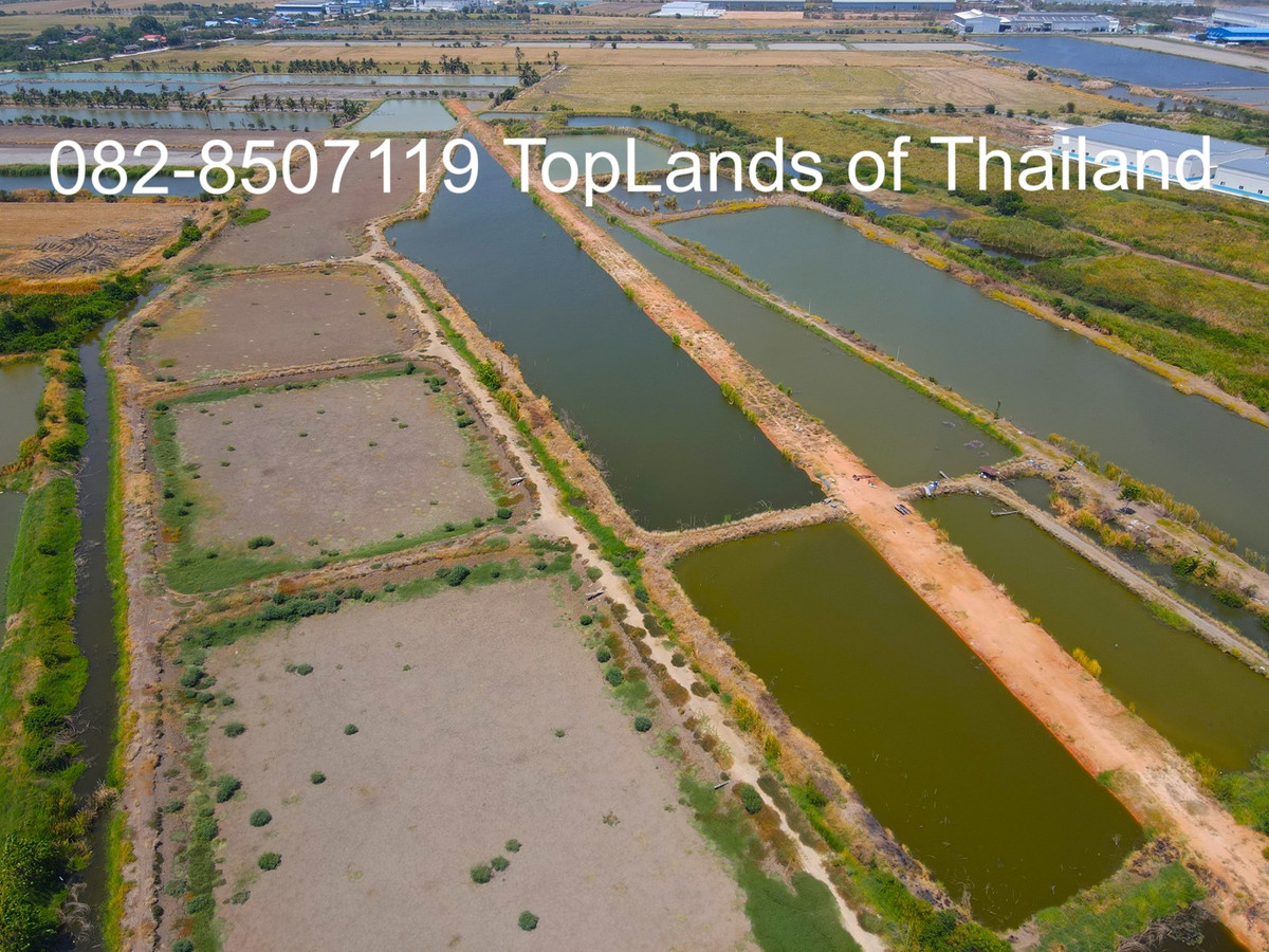 ขาย ที่ดิน บางบ่อ จ.สมุทรปราการ ถนนบานา-ตราด เนื้อที่ 60 ไร่ เหมาะสร้าง โรงงาน โกดัง และคลังสินค้า – รูปที่ 4