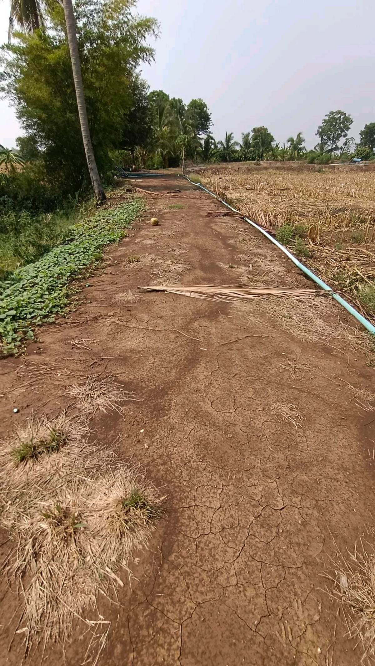 Land for sale – รูปที่ 3
