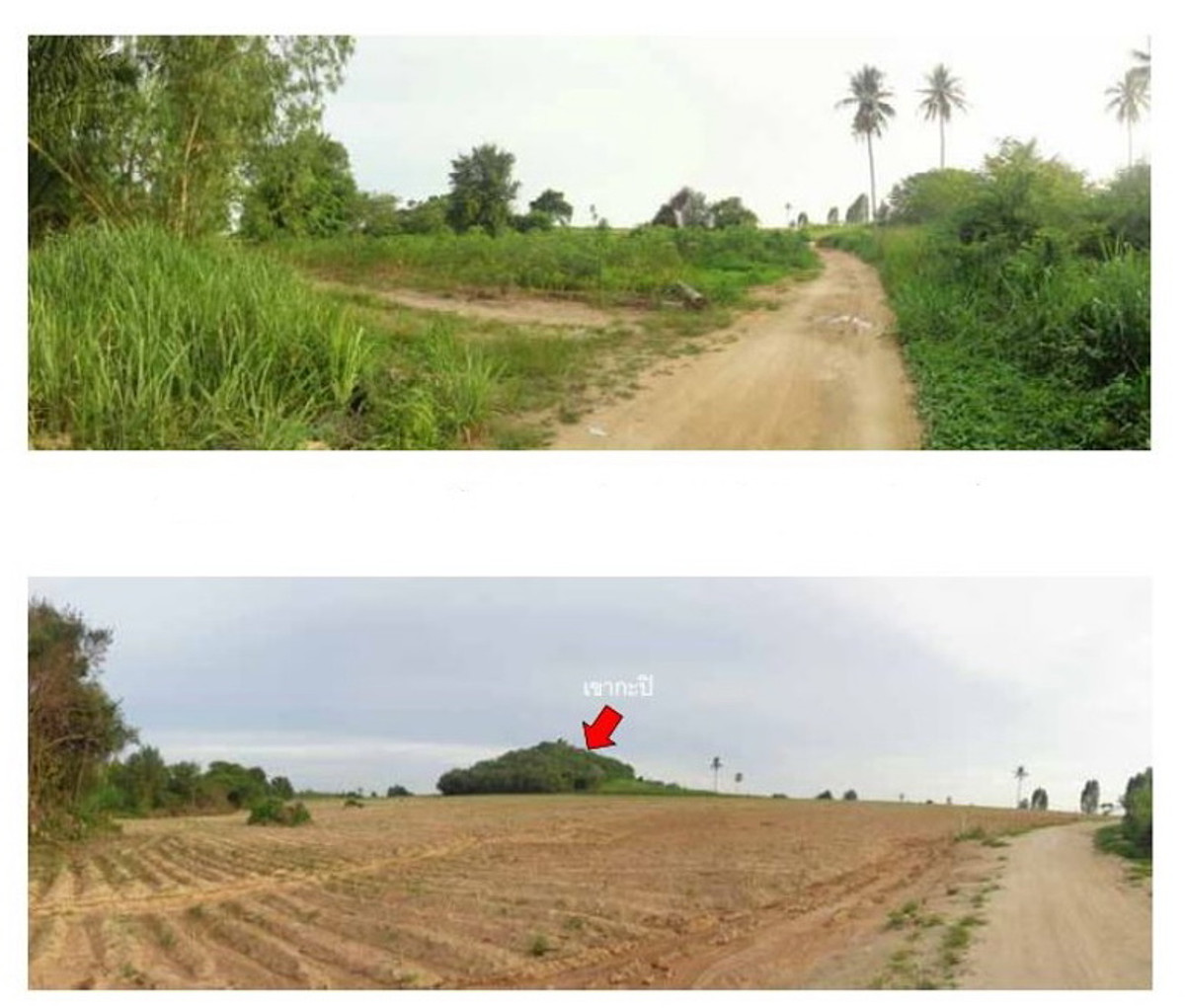 Empty land, large plot next to Asian United, potential location, Bang Lamung District. Chonburi Province – รูปที่ 4