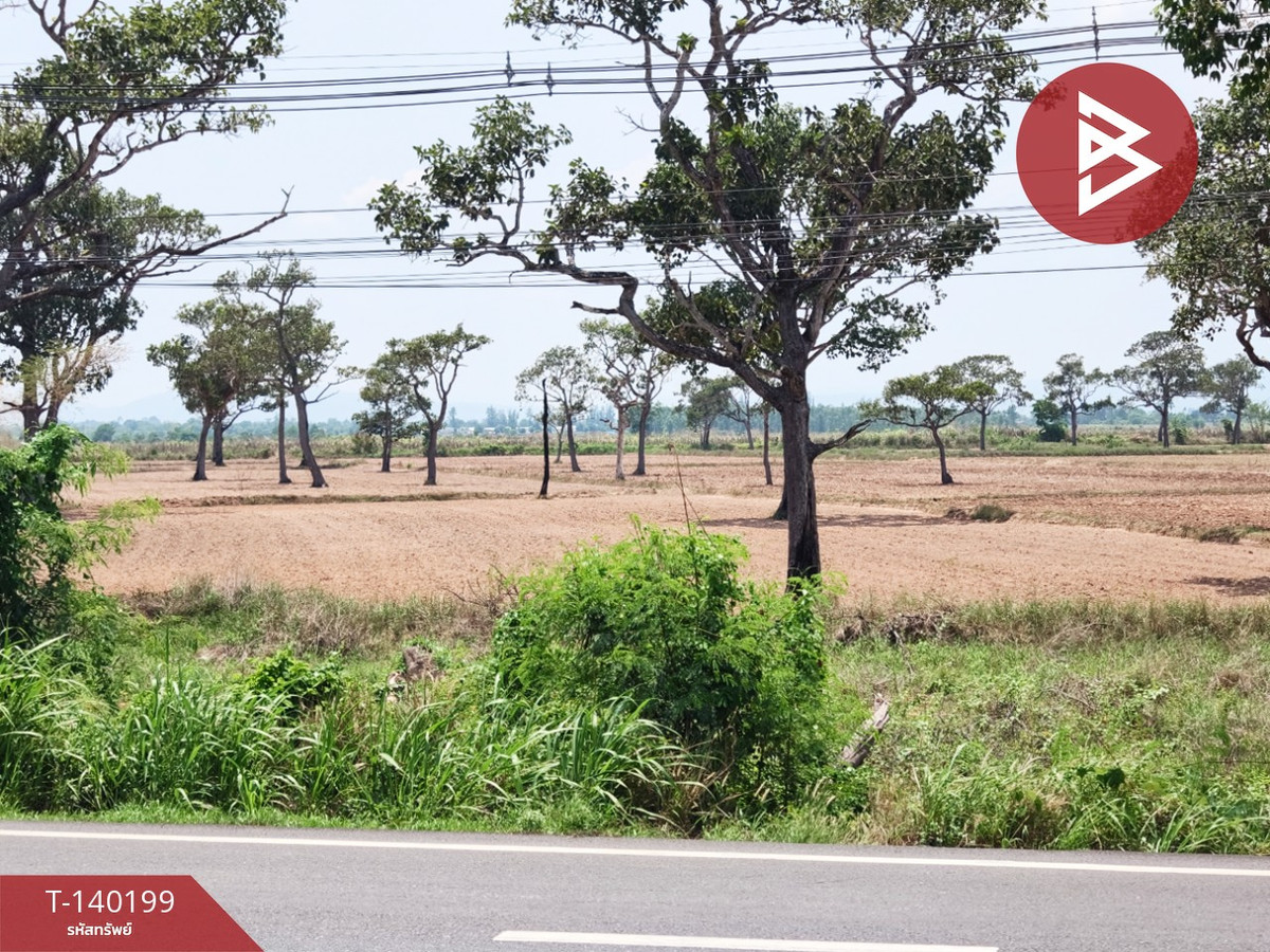 ขายที่ดิน เนื้อที่ 23 ไร่ 1 งาน 83 ตร.วา นาดี ปราจีนบุรี – รูปที่ 4