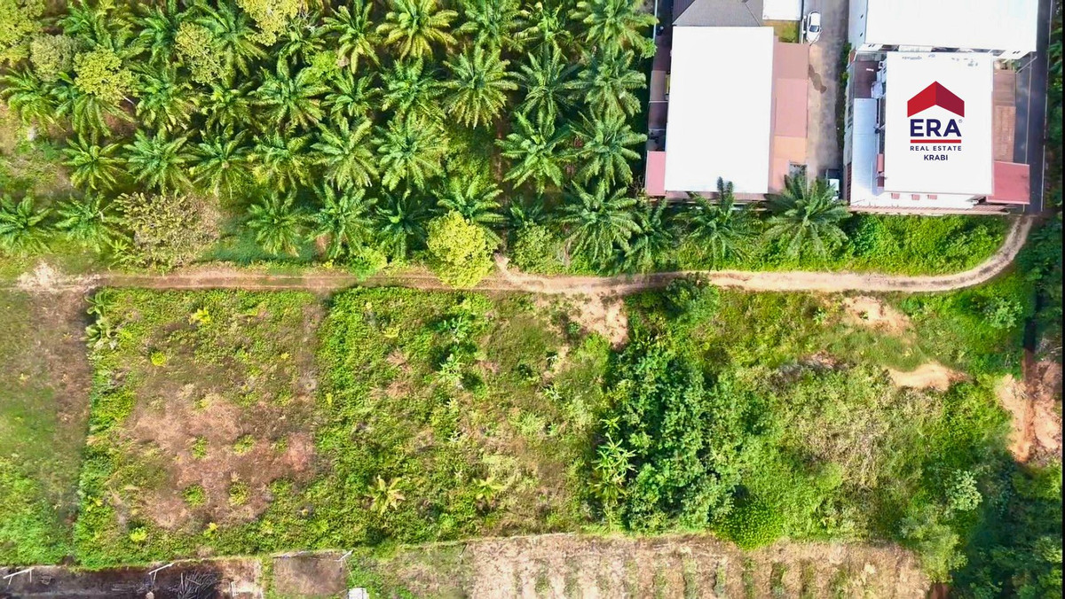 Prime Land for Sale Near Central Krabi, กระบี่ – รูปที่ 3