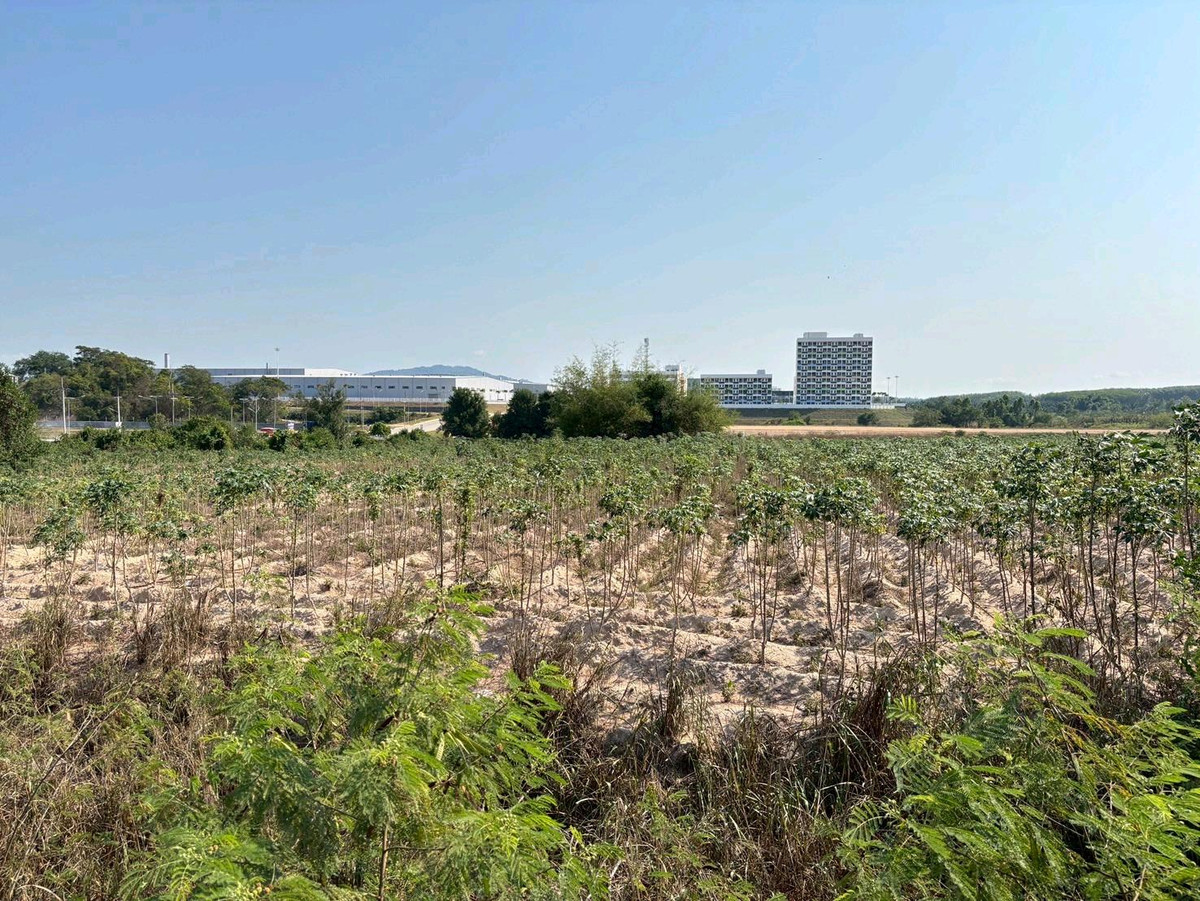 Land for sale in Rayong, 48 rai, next to Road No. 15, 480 meters wide, purple checkered zone. – รูปที่ 4