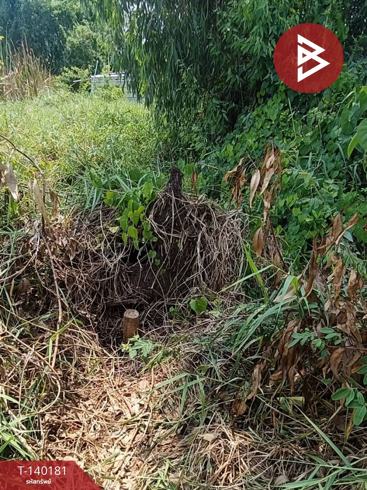 ขายที่ดิน เนื้อที่ 2 งาน 7 ตร.วา คลองเปรง ฉะเชิงเทรา – รูปที่ 2
