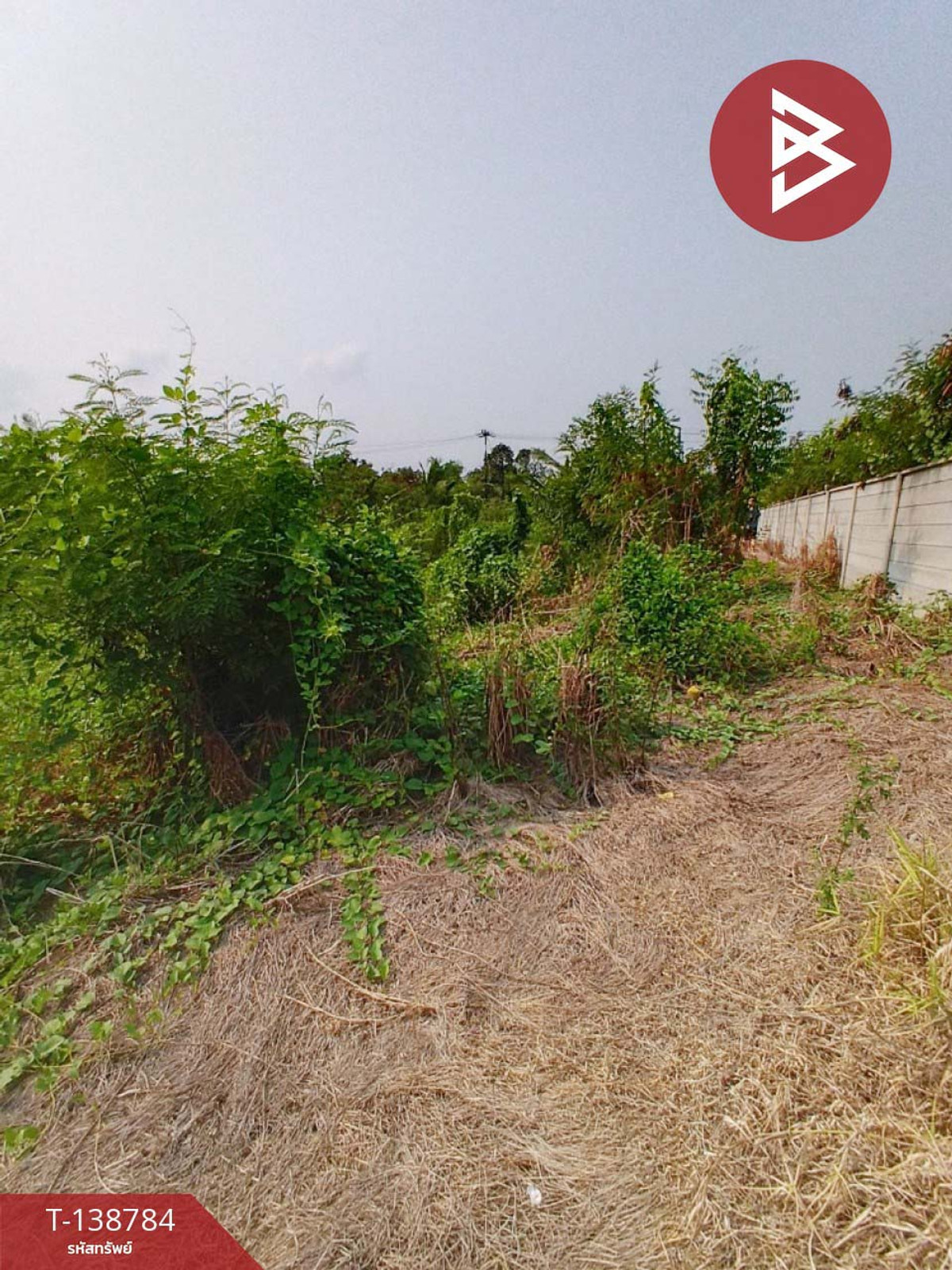 ขายที่ดิน เนื้อที่ 2 งาน 90 ตร.วา พุทธมณฑล นครปฐม – รูปที่ 3