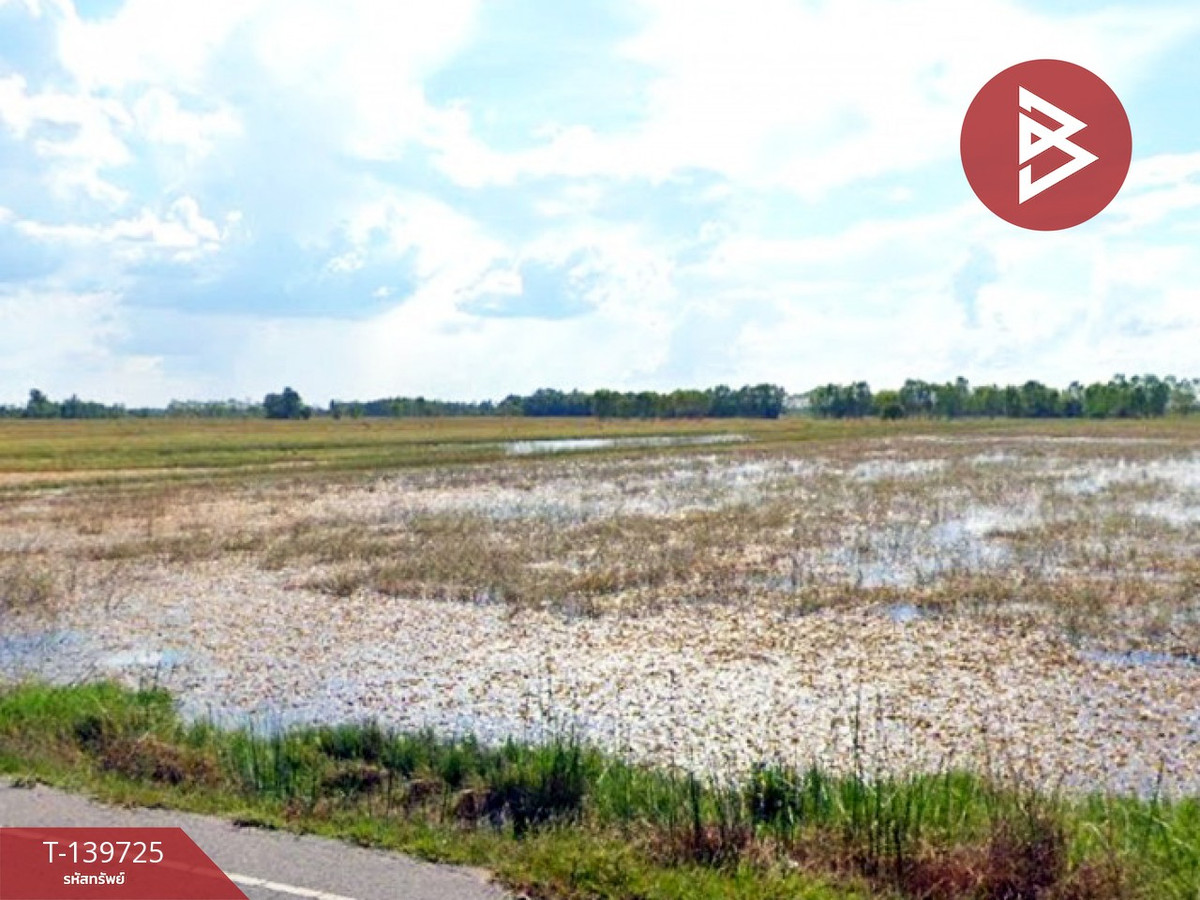 Land for sale, area 11 rai 73 sq m, Mueang Yang, Nakhon Ratchasima. Land for sale, area 11 rai 73 sq m, Mueang Yang, Nakhon Ratchasima.