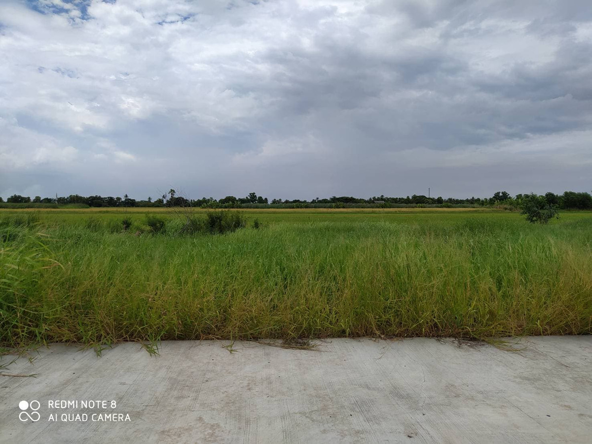 ขายที่ดิน 100 ตรว. เขตหนองจอก กรุงเทพฯ ขายที่ดิน 100 ตรว. เขตหนองจอก กรุงเทพฯ