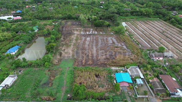 ที่ดินแปลงสี่เหลี่ยมสวย ทำเล EEC ใจกลางเมืองฉะเชิงเทรา – รูปที่ 3