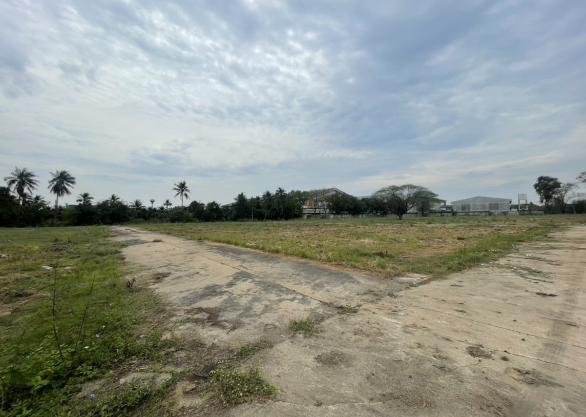 Large plot of land, Sam Phran District, Nakhon Pathom. – รูปที่ 3