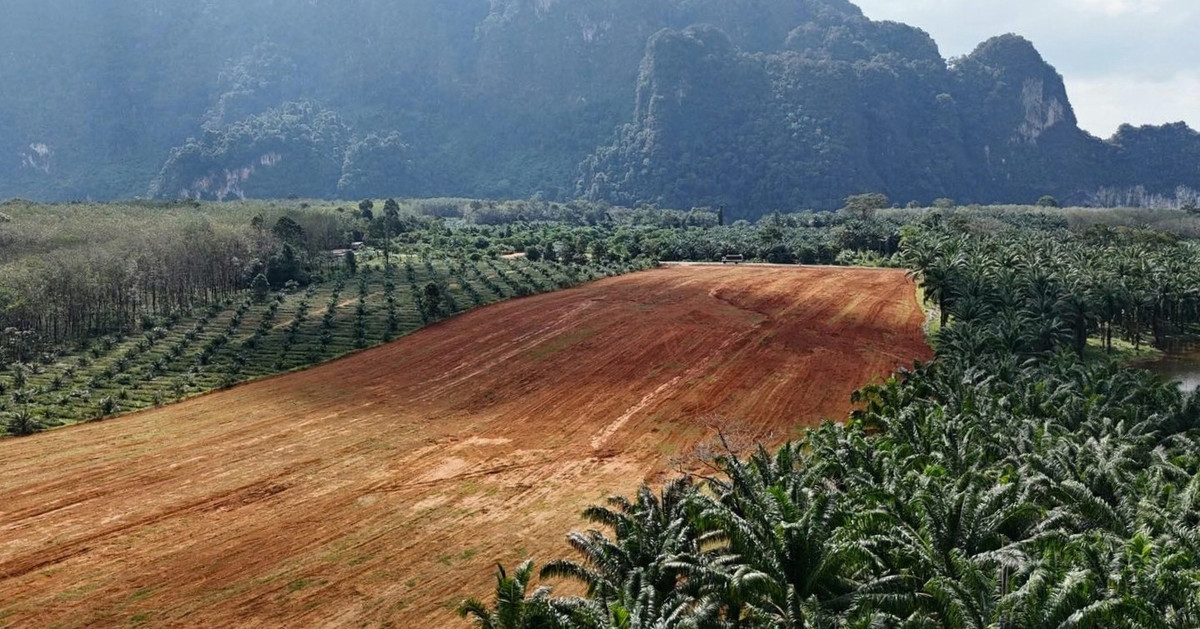 ที่ดินสวย ทำเลทอง เขาคราม กระบี่, Krabi – รูปที่ 4