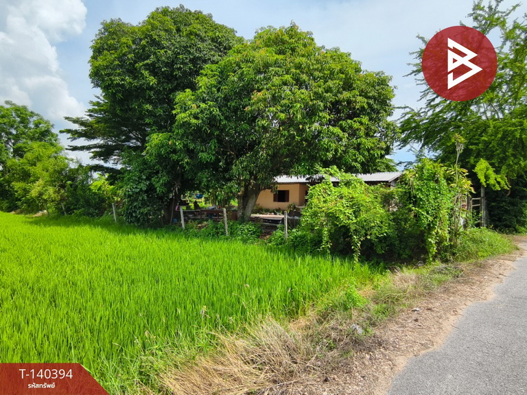 Land for sale, area 2 rai 3 ngan, Don Chedi, Suphanburi. – รูปที่ 2