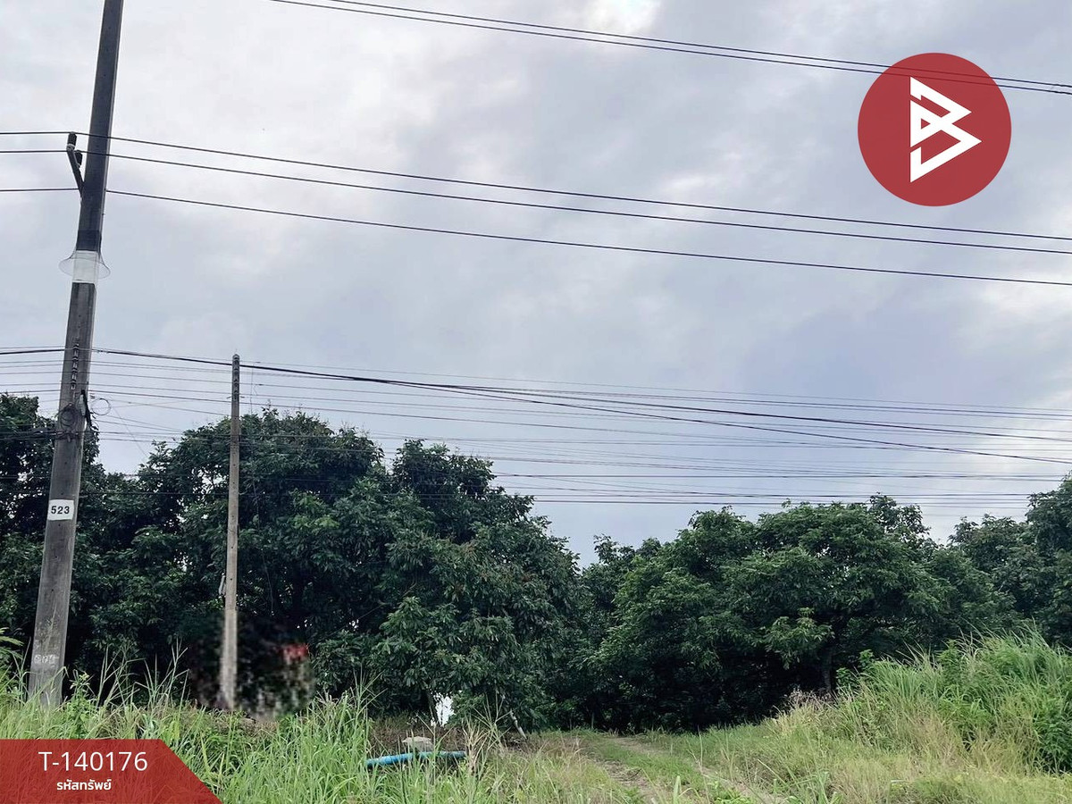 Land for sale, area 30 rai 1 ngan 38 square wah, Soi Dao, Chanthaburi.