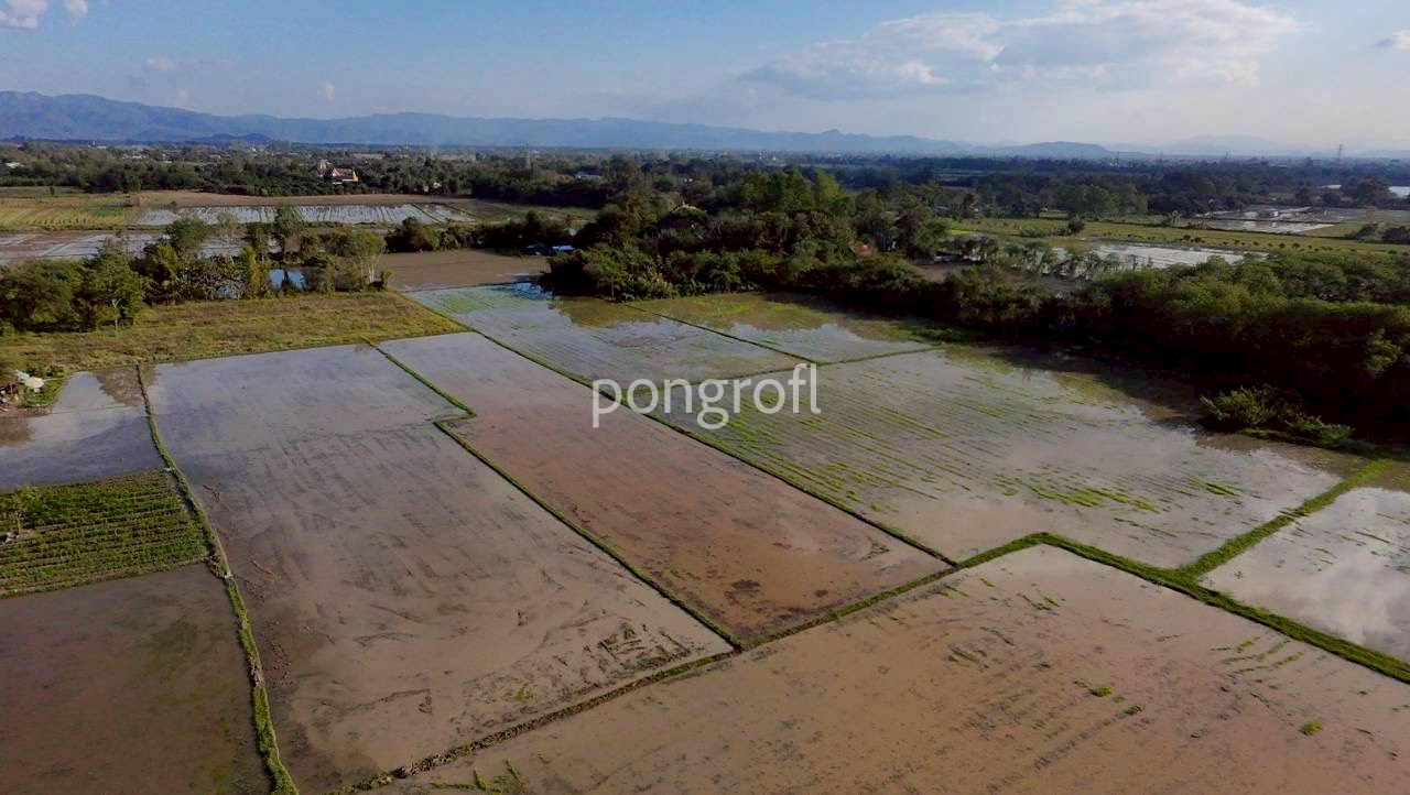 Land in San Kamphaeng, Chiang Mai, total area 8 rai 3 ngan 73 sq m (3 plots) Land in San Kamphaeng, Chiang Mai, total area 8 rai 3 ngan 73 sq m (3 plots)