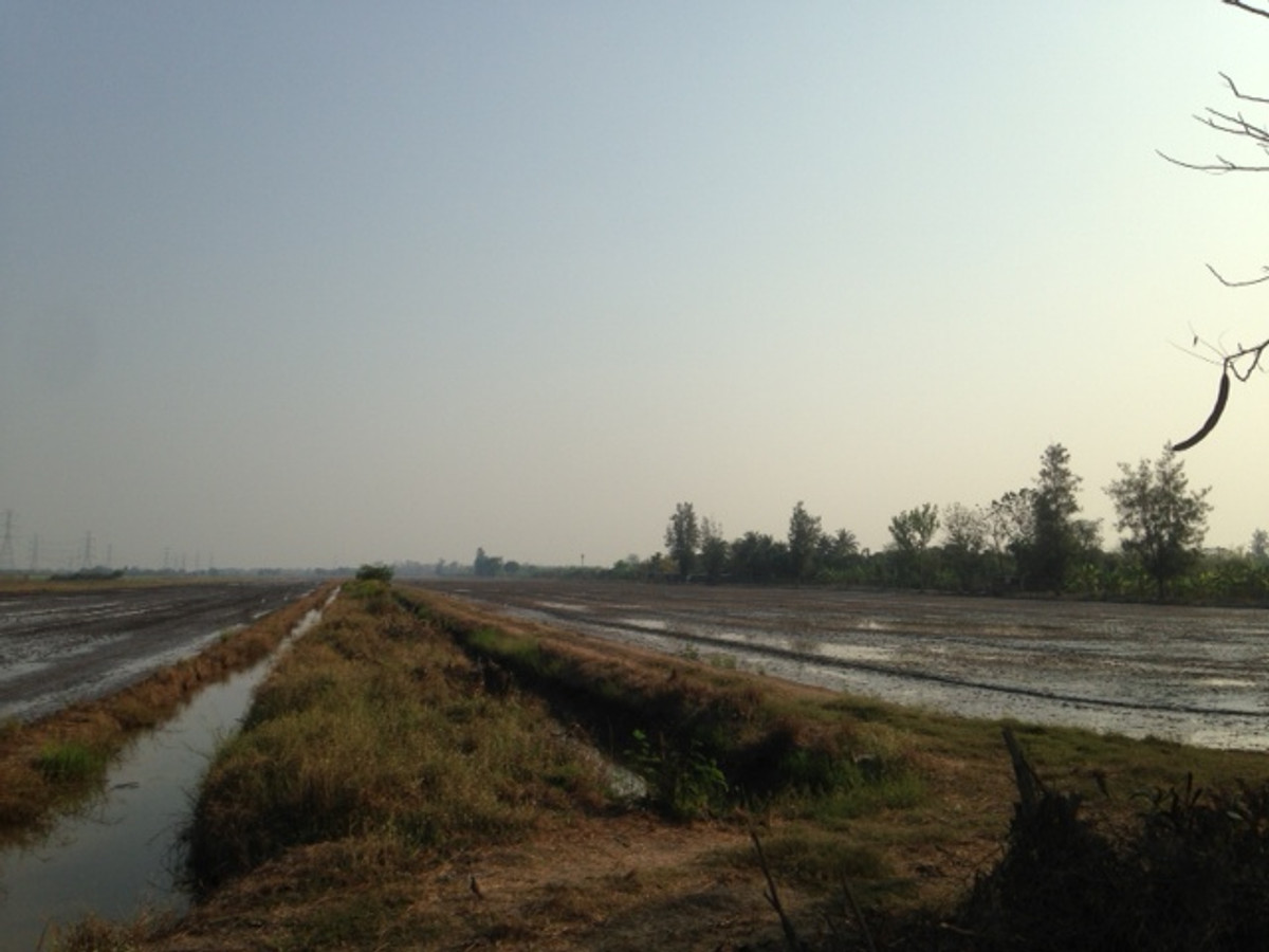 Land for sale, Lam Luk Ka Khlong 12, southern side, 14 rai 140 sq m, next to road 4003 – รูปที่ 2