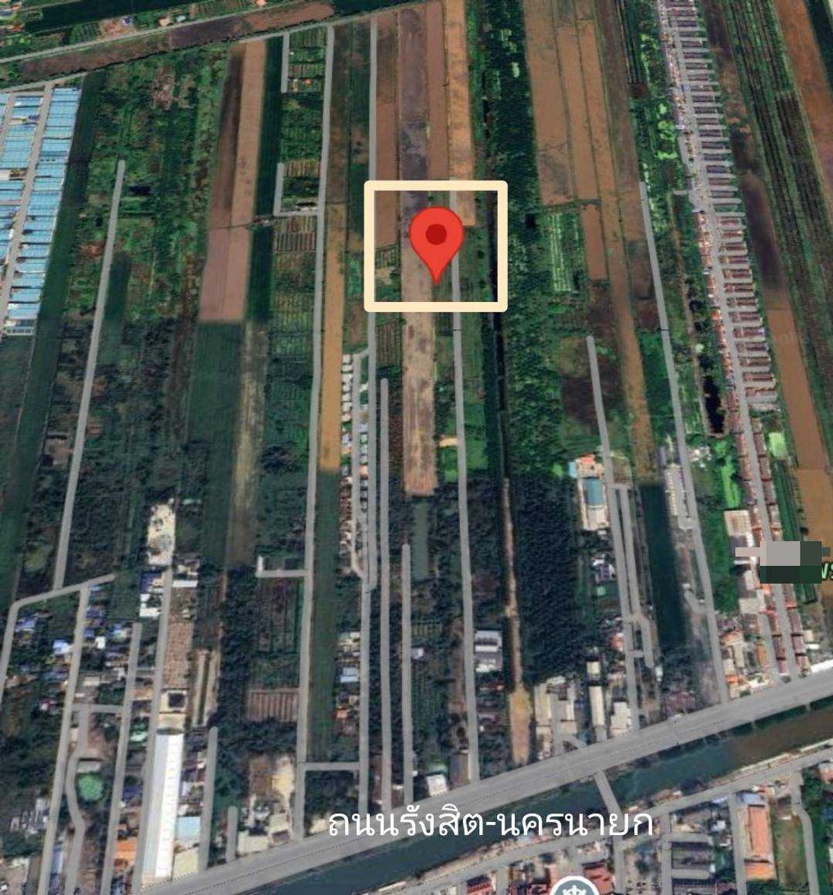 ขายที่ดิน คลอง 11 ธัญบุรี 200 ตร.ว. ผังเมืองสีชมพู ใกล้ ถนนรังสิต-นครนายก – รูปที่ 2