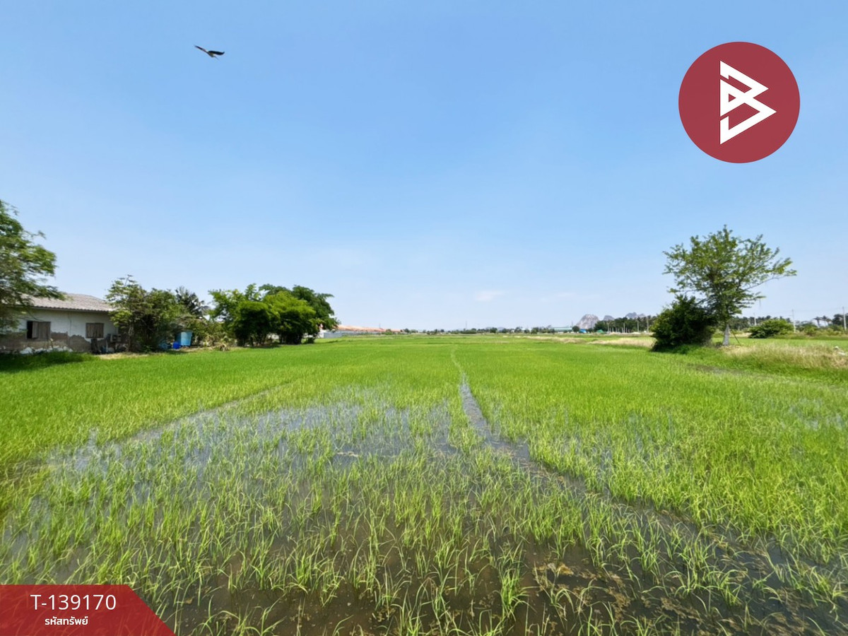 ขายที่ดิน เนื้อที่ 10 ไร่ 69 ตร.วา เจดีย์หัก ราชบุรี – รูปที่ 4