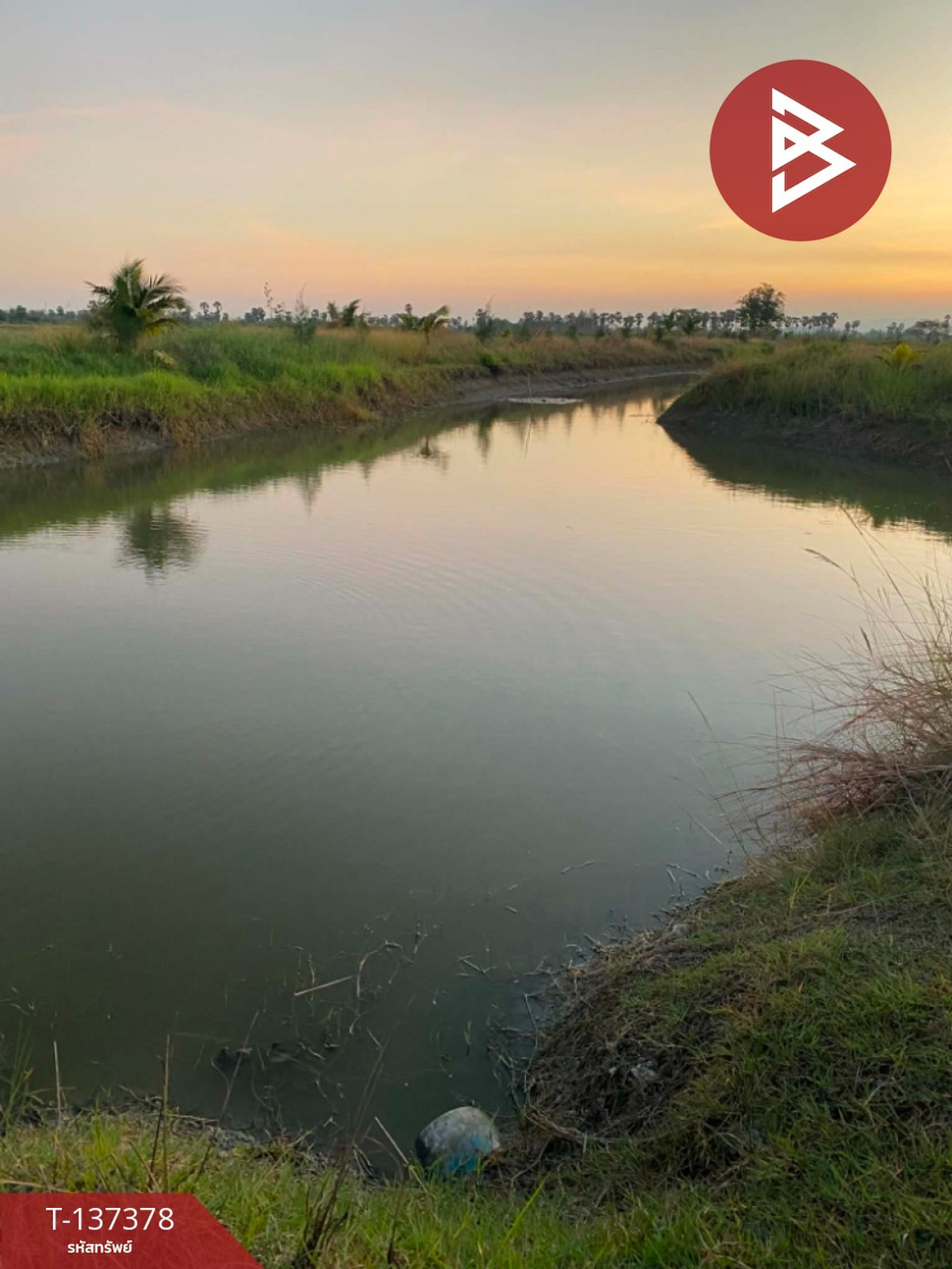 Beautiful land for sale, area 18 rai 2 ngan 94 square wah, Bang Chan Subdistrict, Phetchaburi. – รูปที่ 3