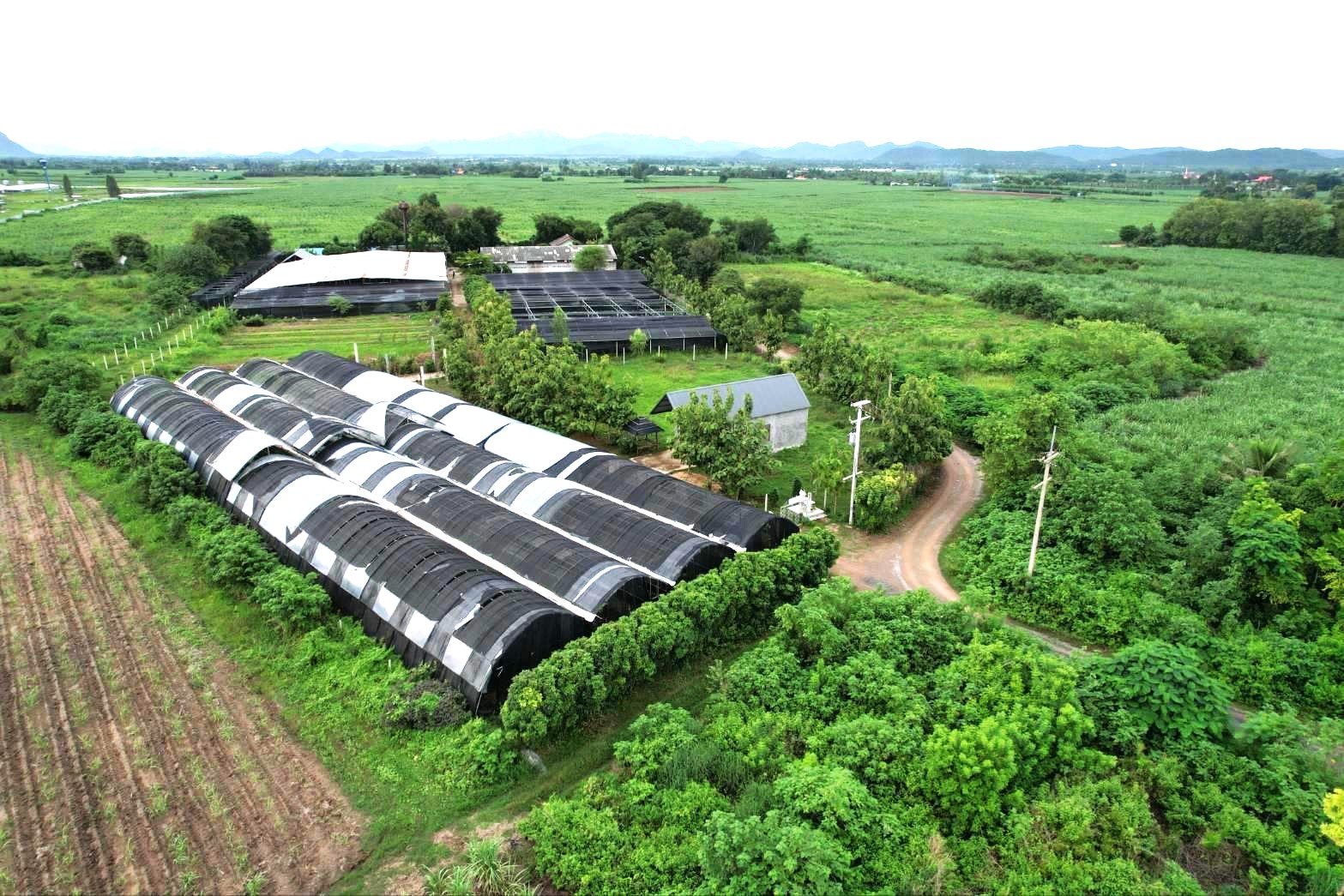 ขายที่ดินสวย ลดราคาพิเศษ พร้อมสิ่งปลูกสร้าง โรงเรือน 9 ไร่ ต.บ้านใหม่ อ.ท่าม่วง จ.กาญจนบุรี ขายที่ดินสวย ลดราคาพิเศษ พร้อมสิ่งปลูกสร้าง โรงเรือน 9 ไร่ ต.บ้านใหม่ อ.ท่าม่วง จ.กาญจนบุรี