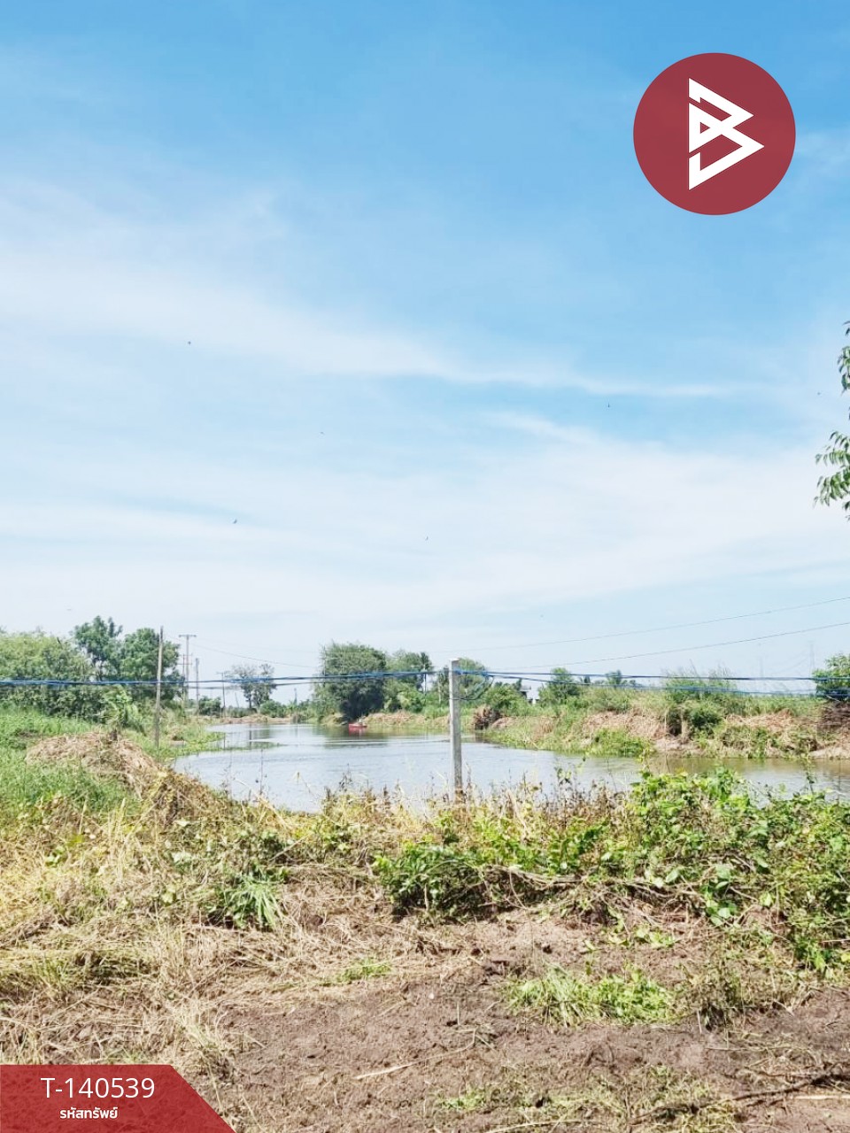 ขายที่ดิน เนื้อที่ 13 ไร่ 3 งาน 5 ตร.วา บางแก้ว ฉะเชิงเทรา – รูปที่ 3