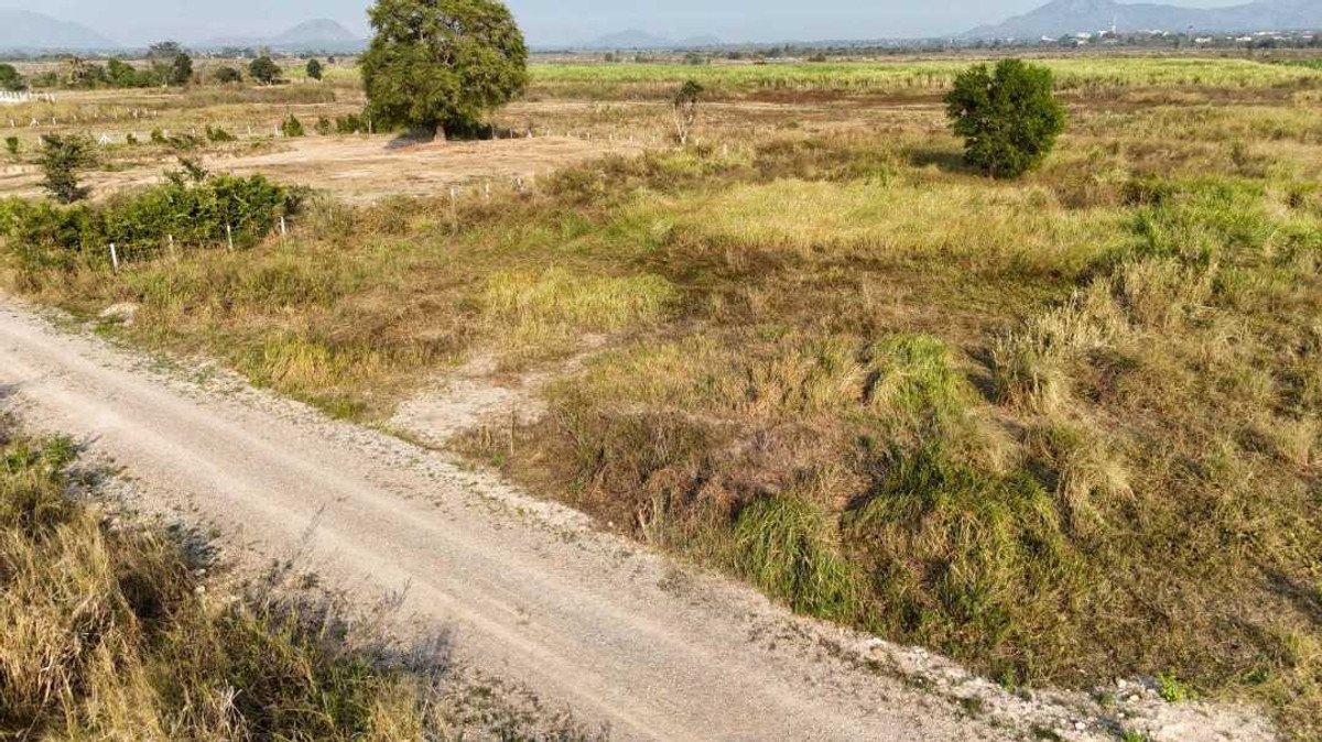 Land Plot for Sale 1-Rai Near Silpakorn University, Cha-am – รูปที่ 4