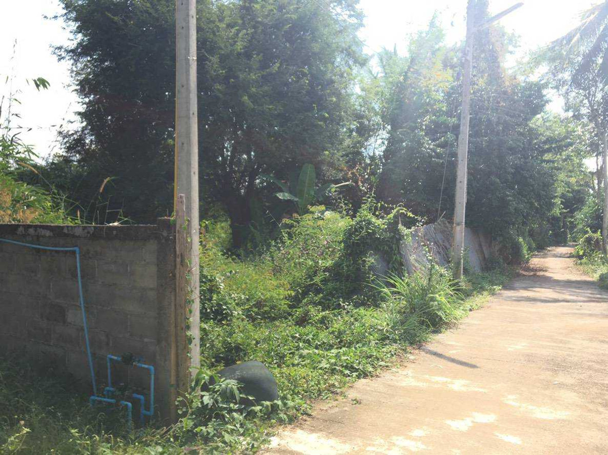 Beautiful land, good atmosphere, great price! Location: Thung Laeng Subdistrict, Long District, Phrae Province, price 1,400,000 baht. Beautiful land, good atmosphere, great price! Location: Thung Laeng Subdistrict, Long District, Phrae Province, price 1,400,000 baht.