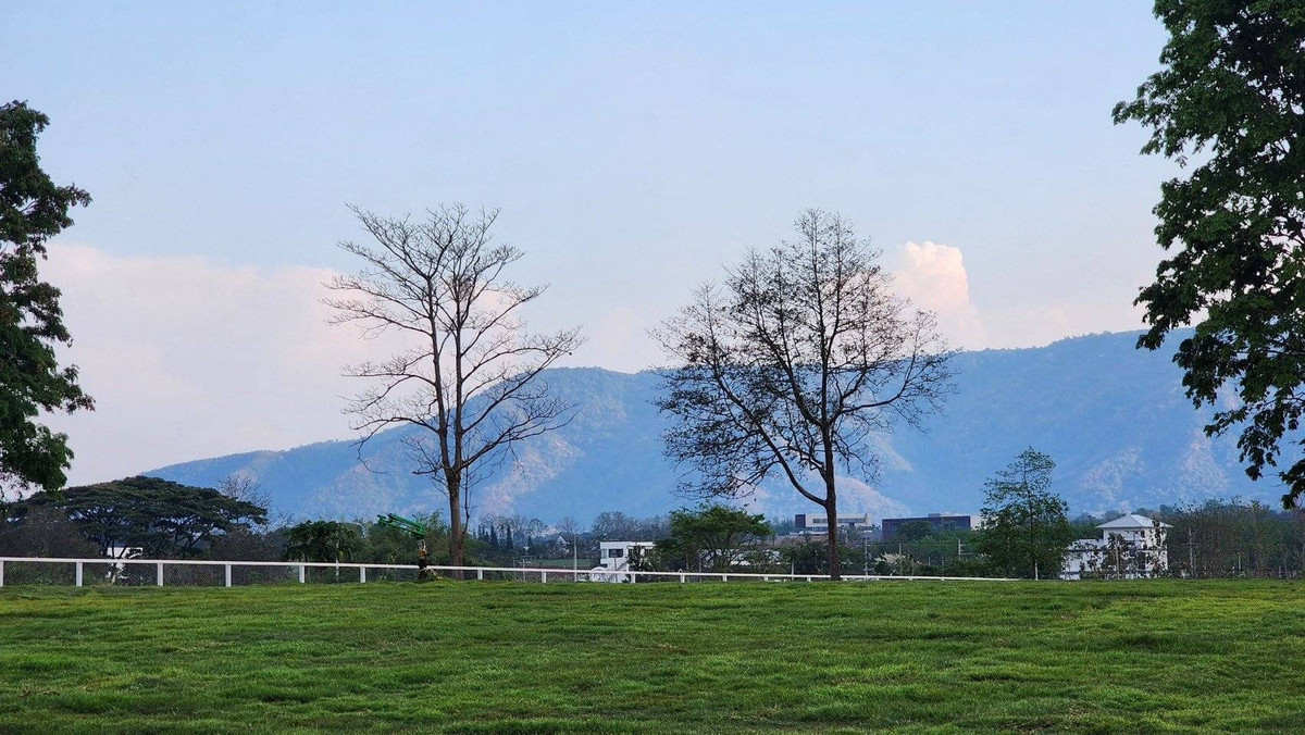 Phuphirom Khao Yai – SPRING SEASON – รูปที่ 3